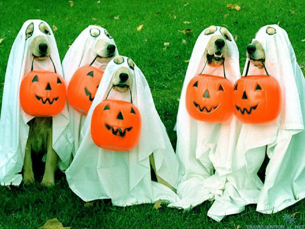 Halloween Dog Background