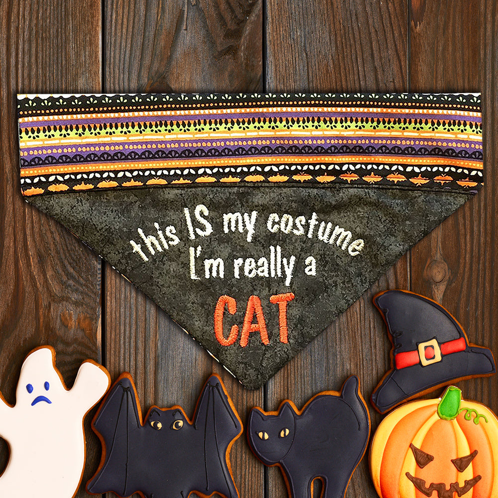 Halloween Dog Background