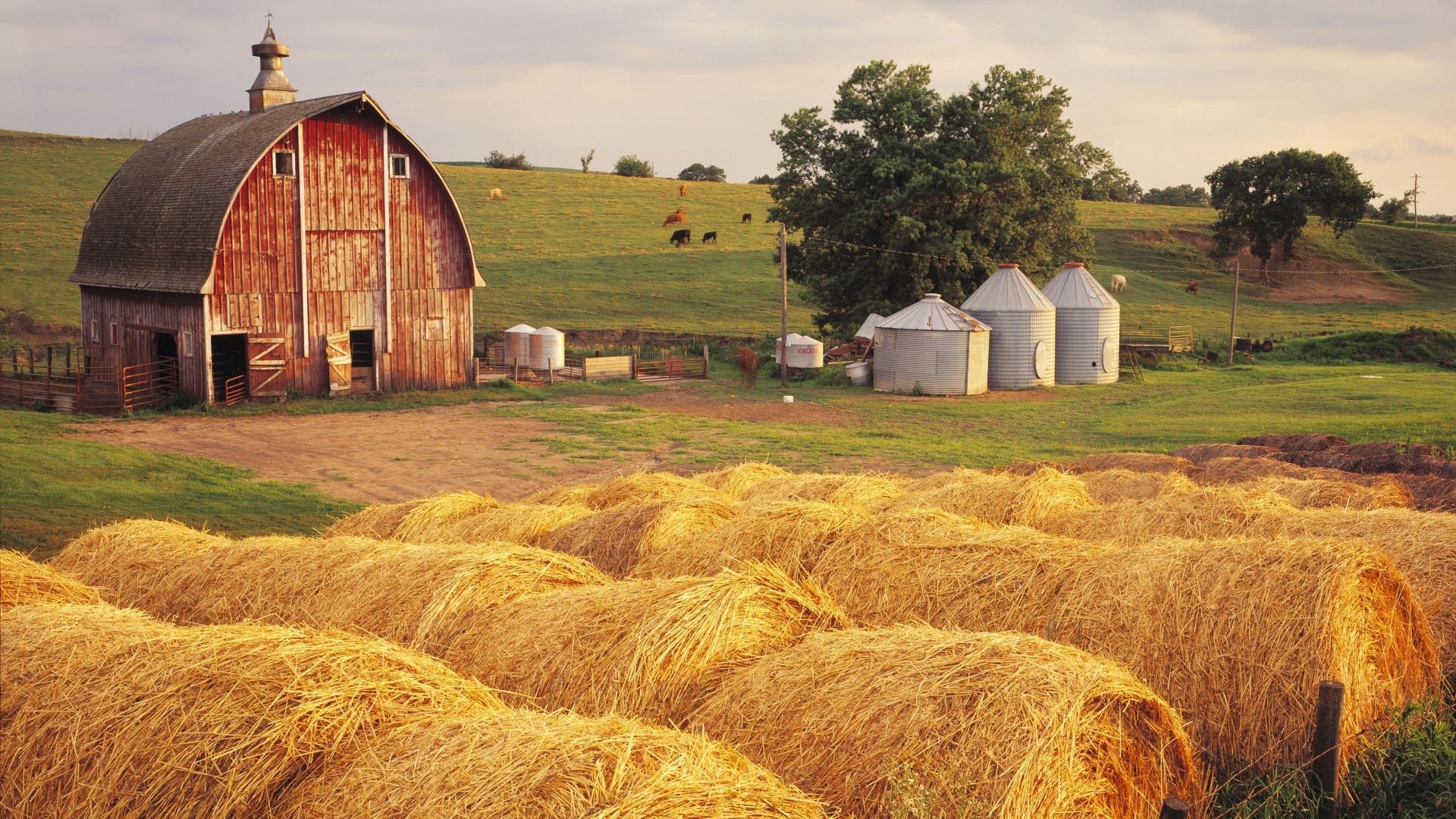 High Resolution Farm Background