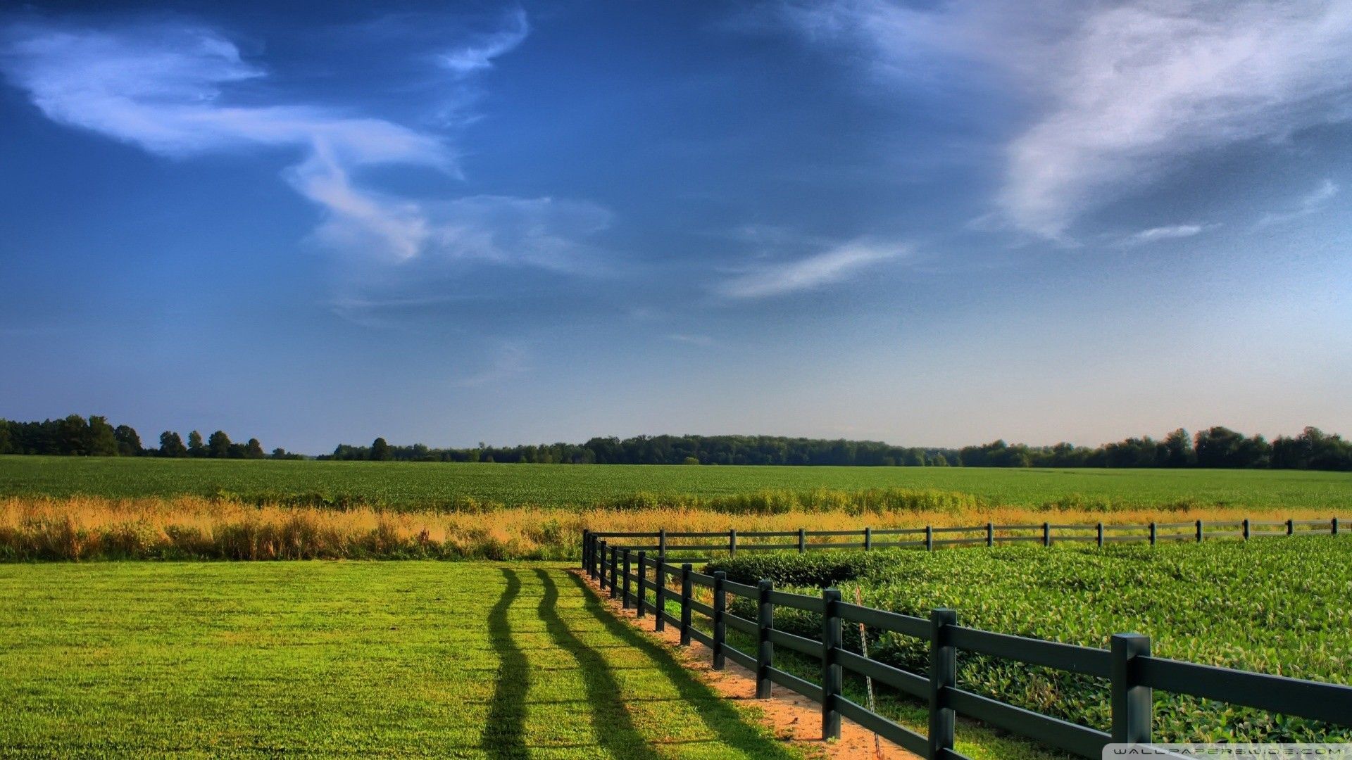 High Resolution Farm Background