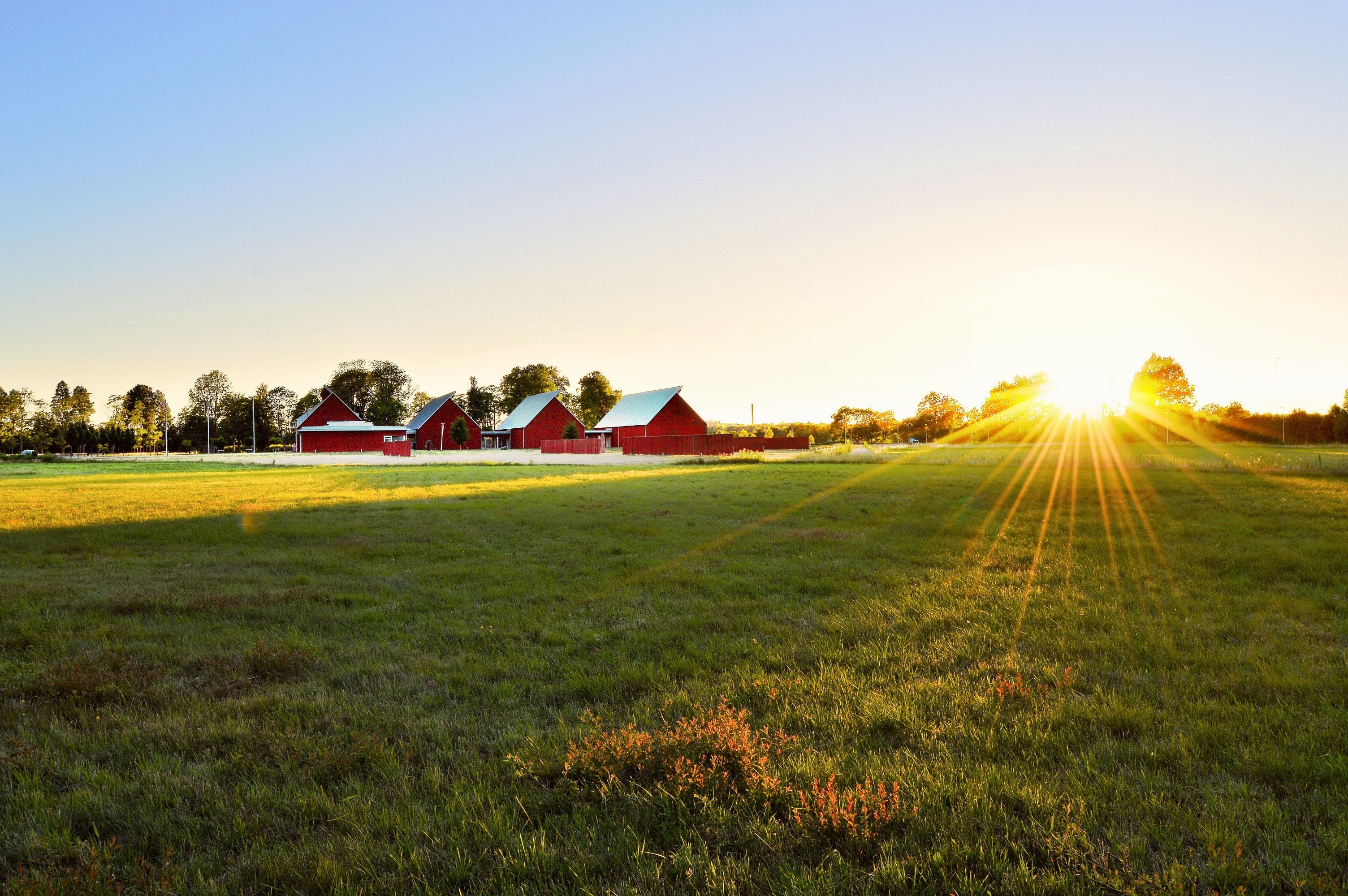 High Resolution Farm Background