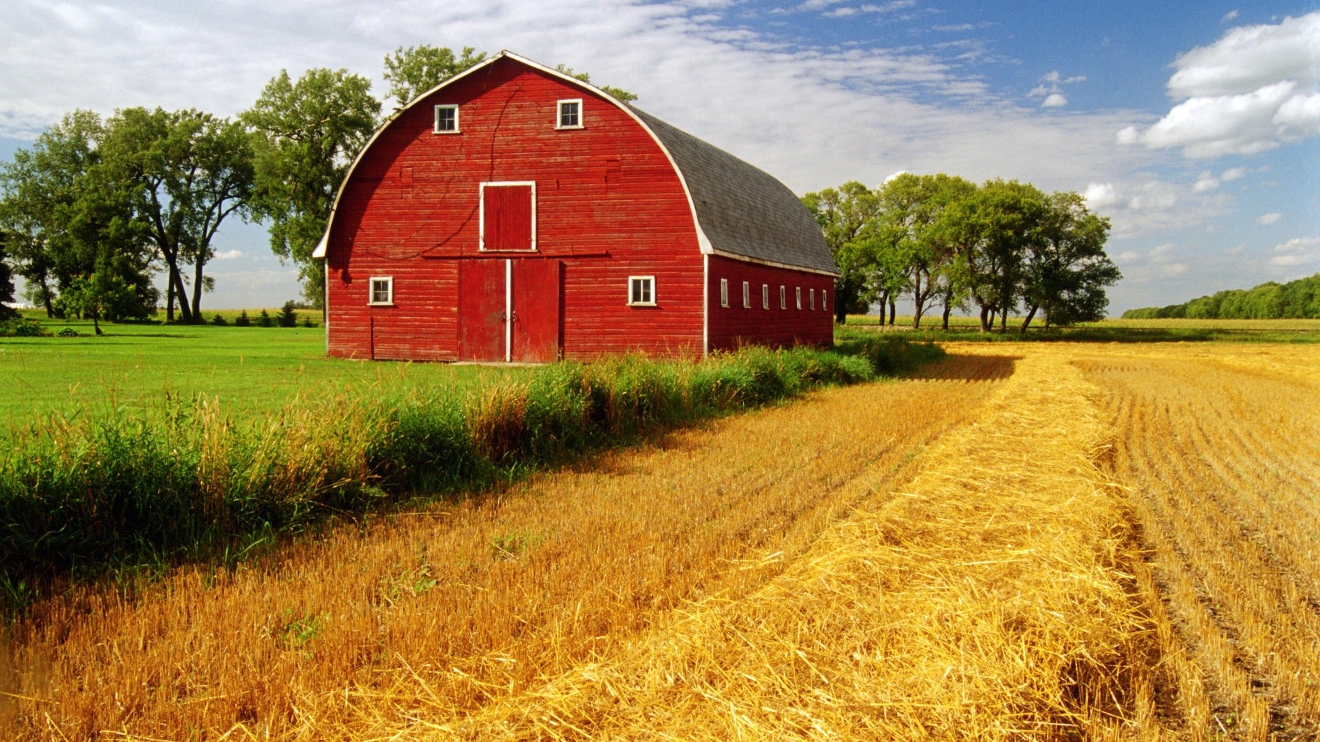 High Resolution Farm Background