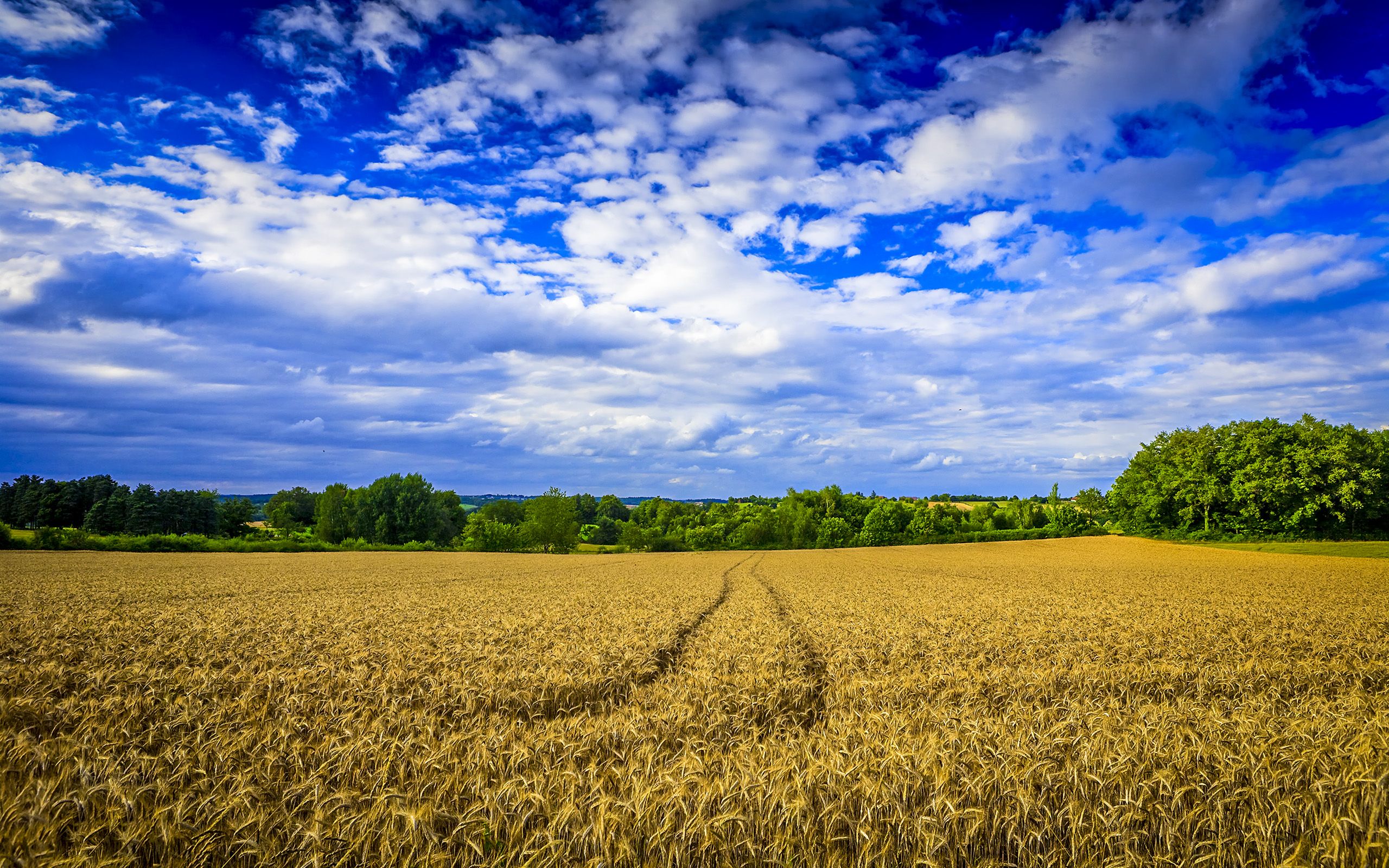 High Resolution Farm Background