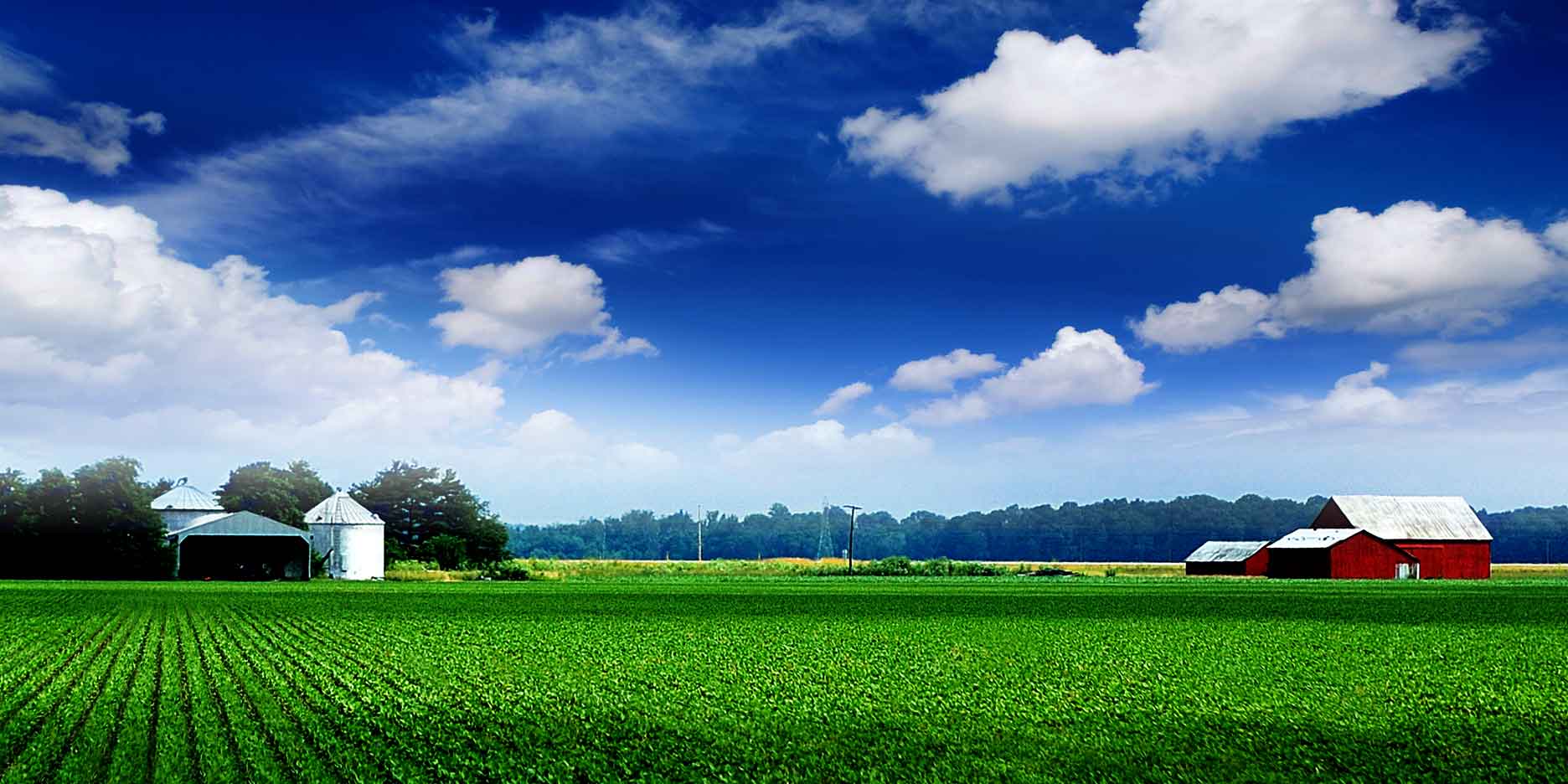 High Resolution Farm Background