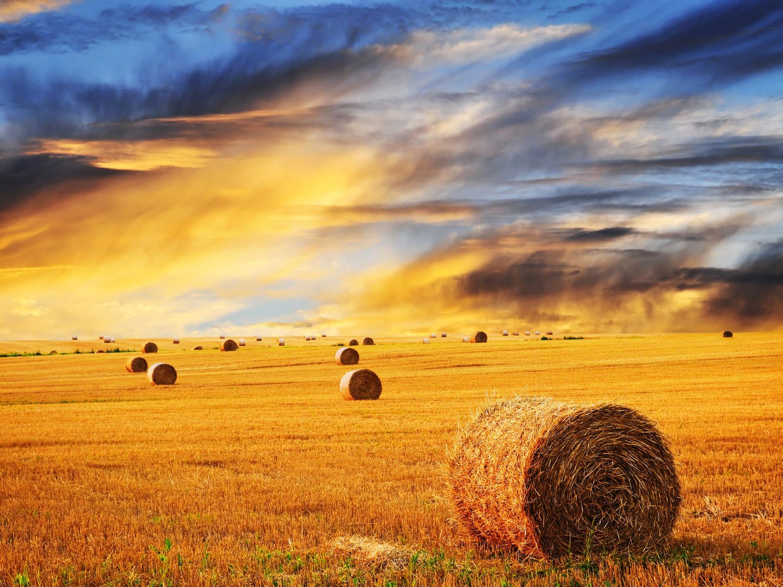 High Resolution Farm Background