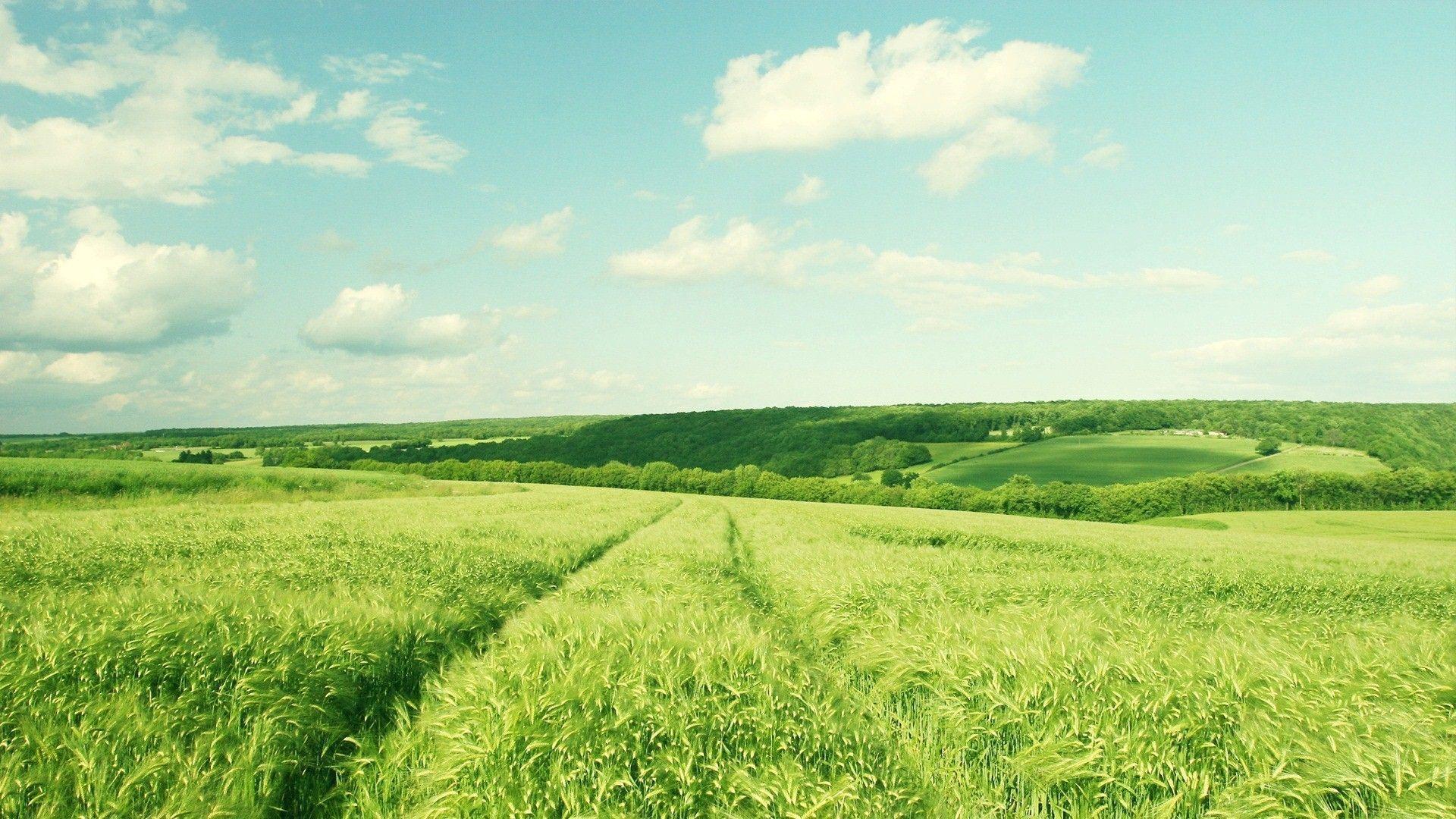 High Resolution Farm Background