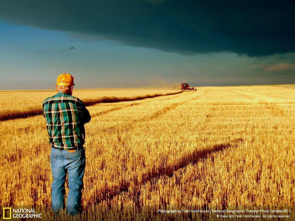 High Resolution Farm Background