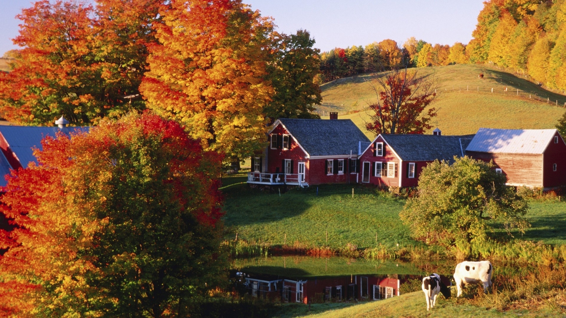 High Resolution Farm Background