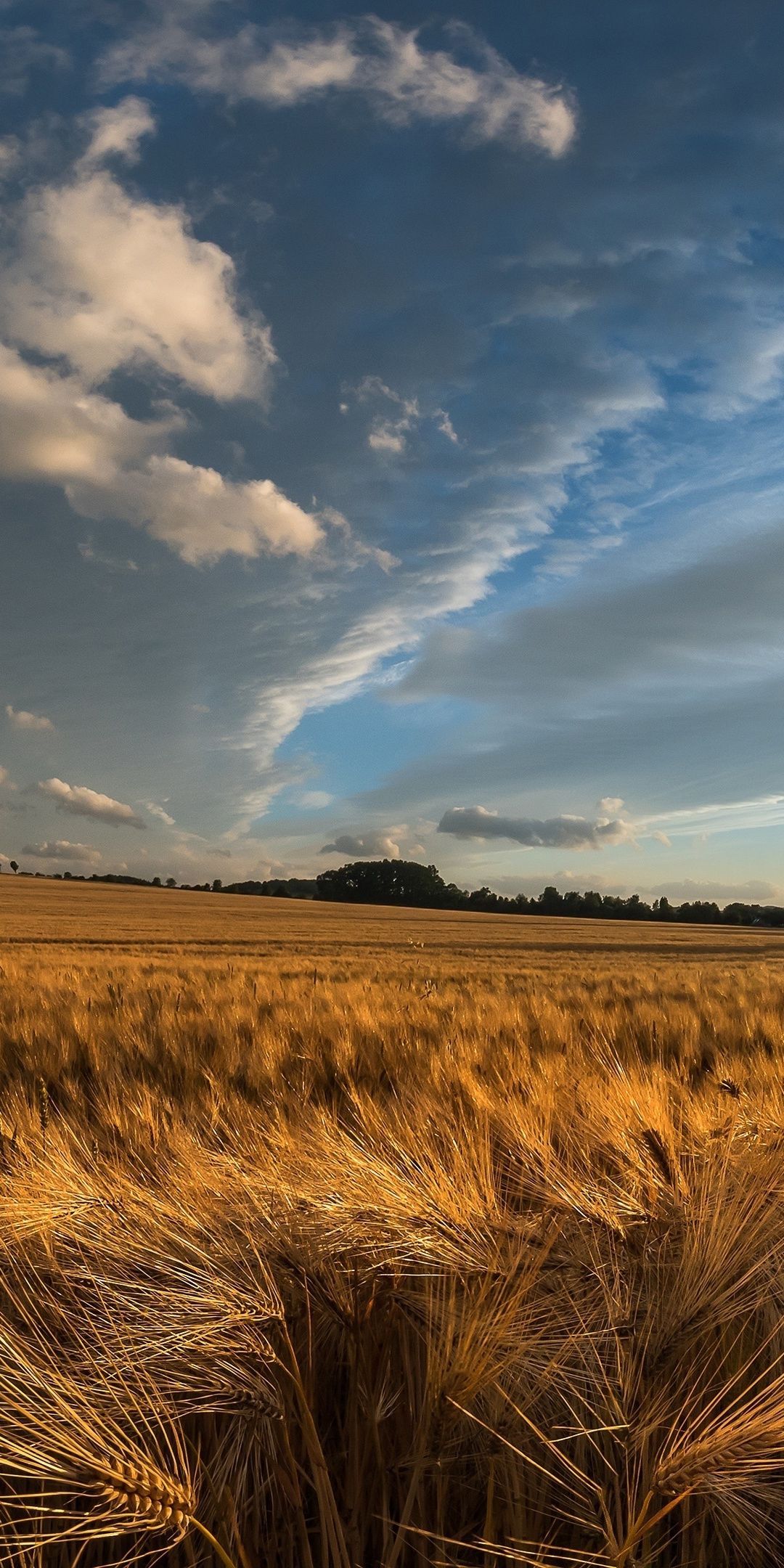 High Resolution Farm Background