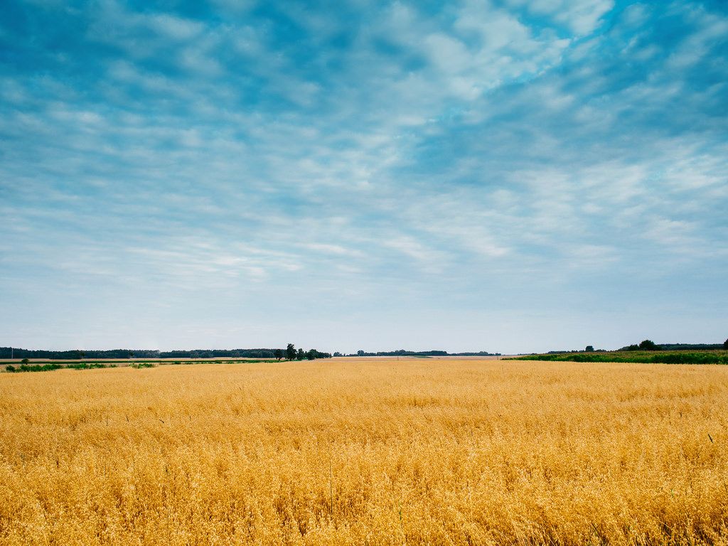 High Resolution Farm Background