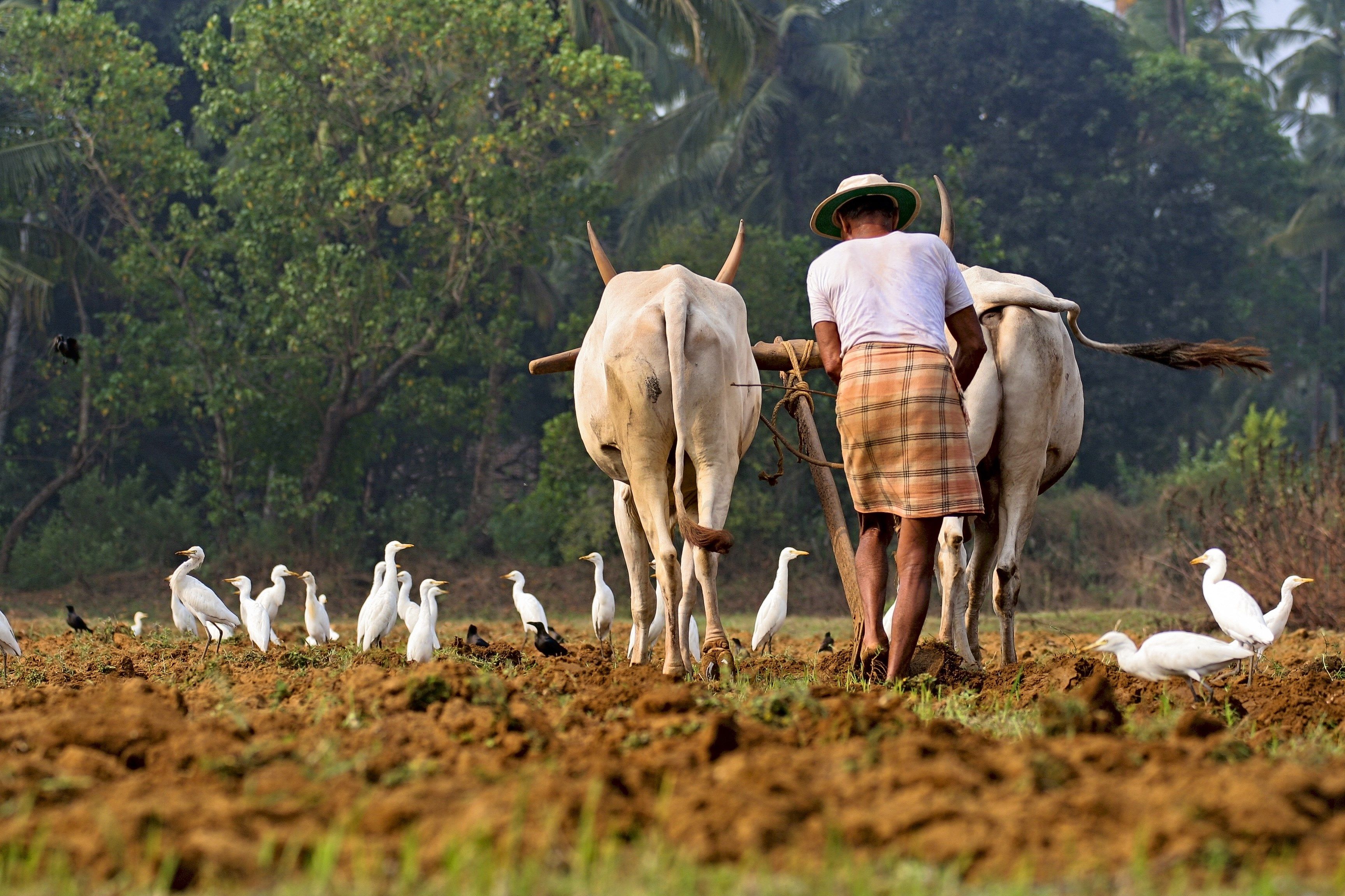 High Resolution Farm Background