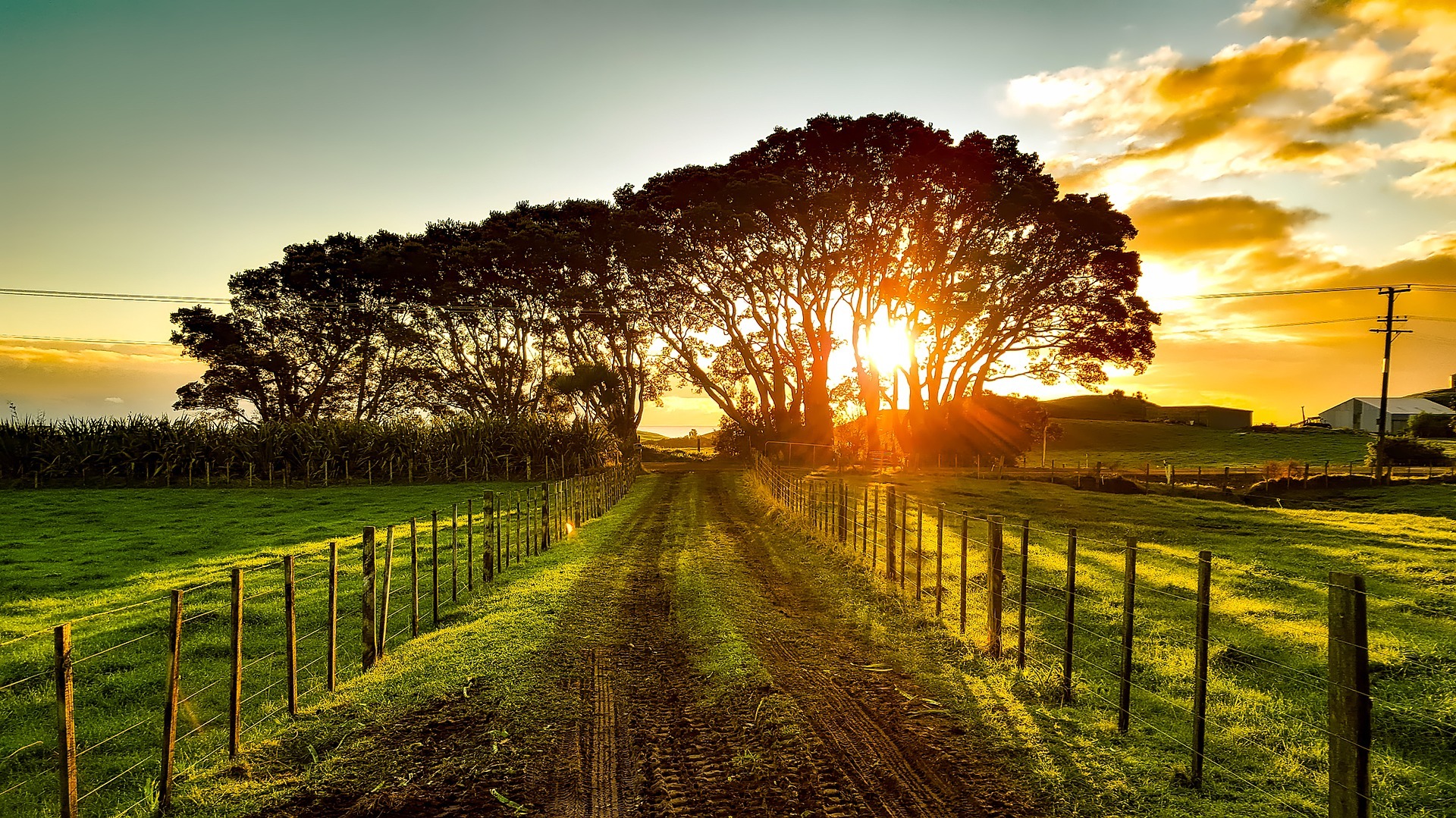 High Resolution Farm Background