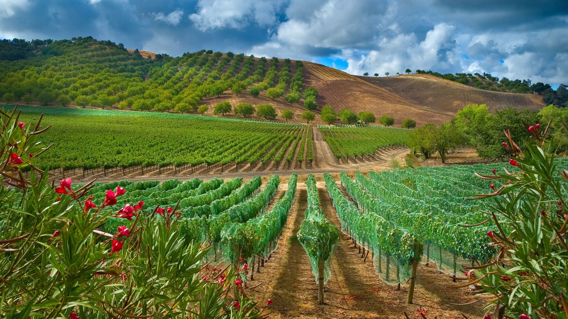 High Resolution Farm Background