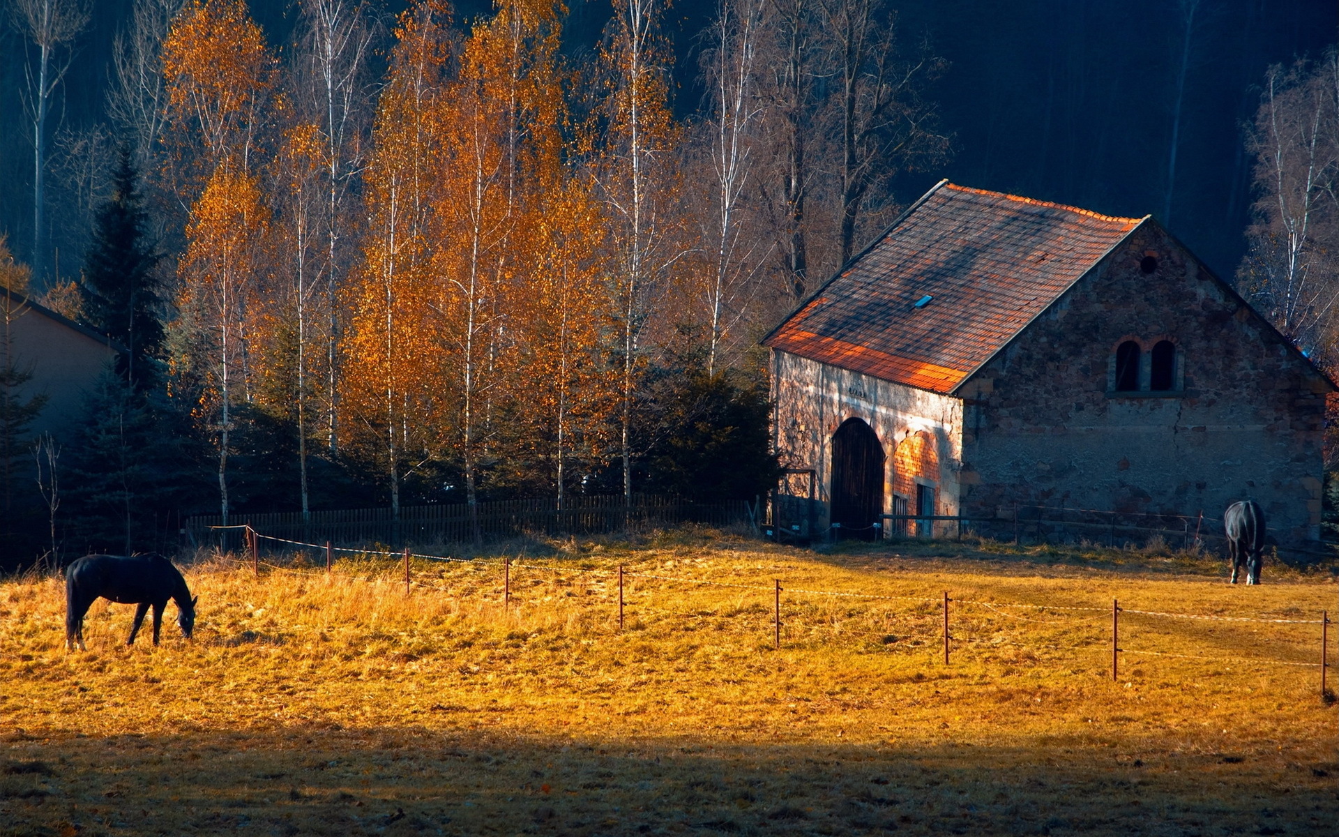 High Resolution Farm Background