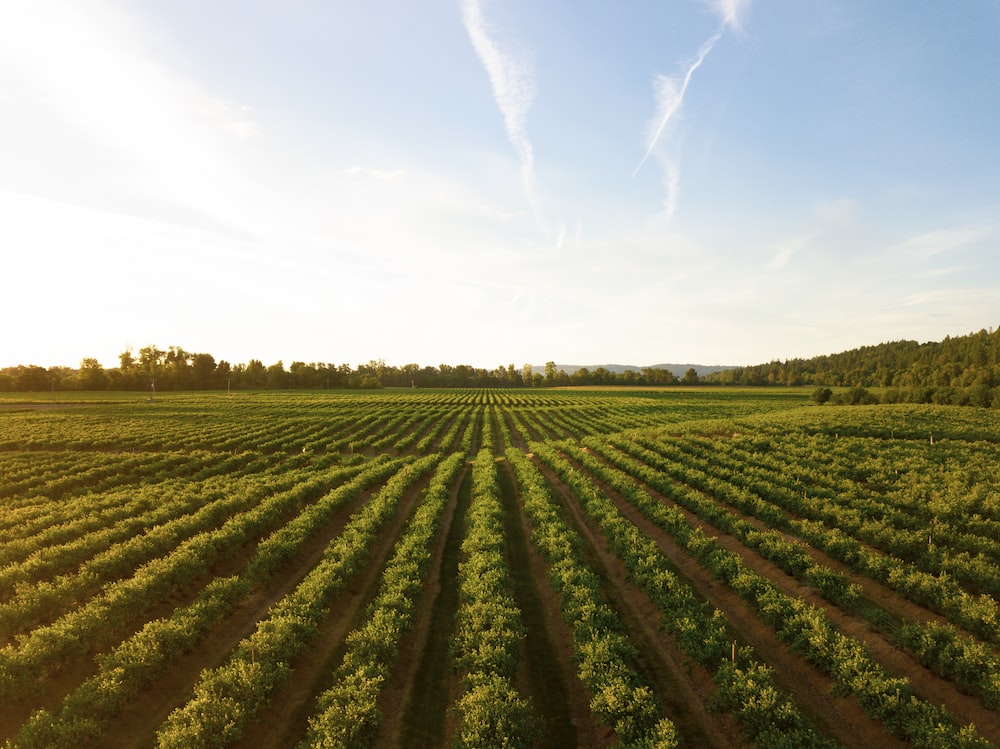 High Resolution Farm Background