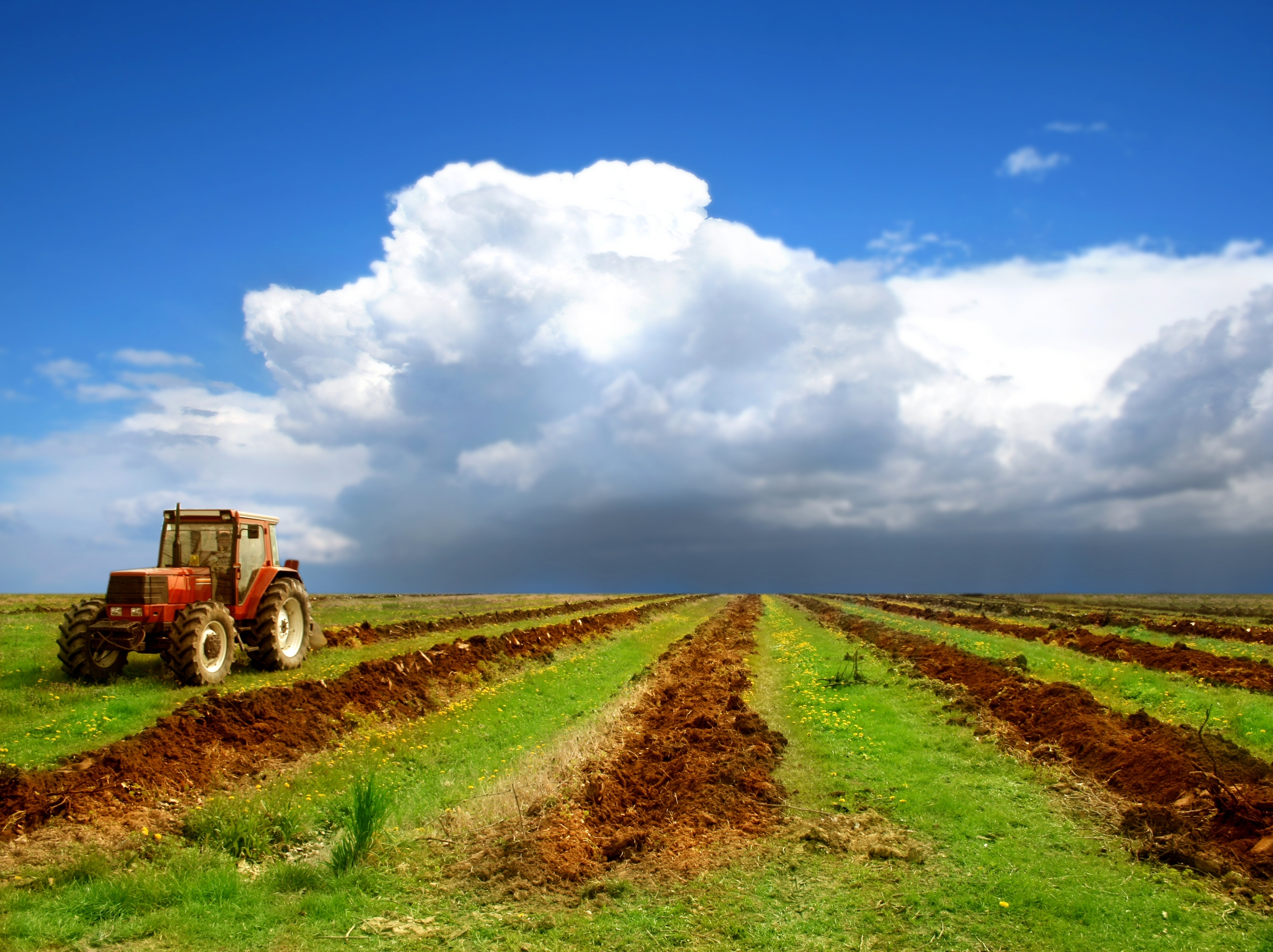 High Resolution Farm Background