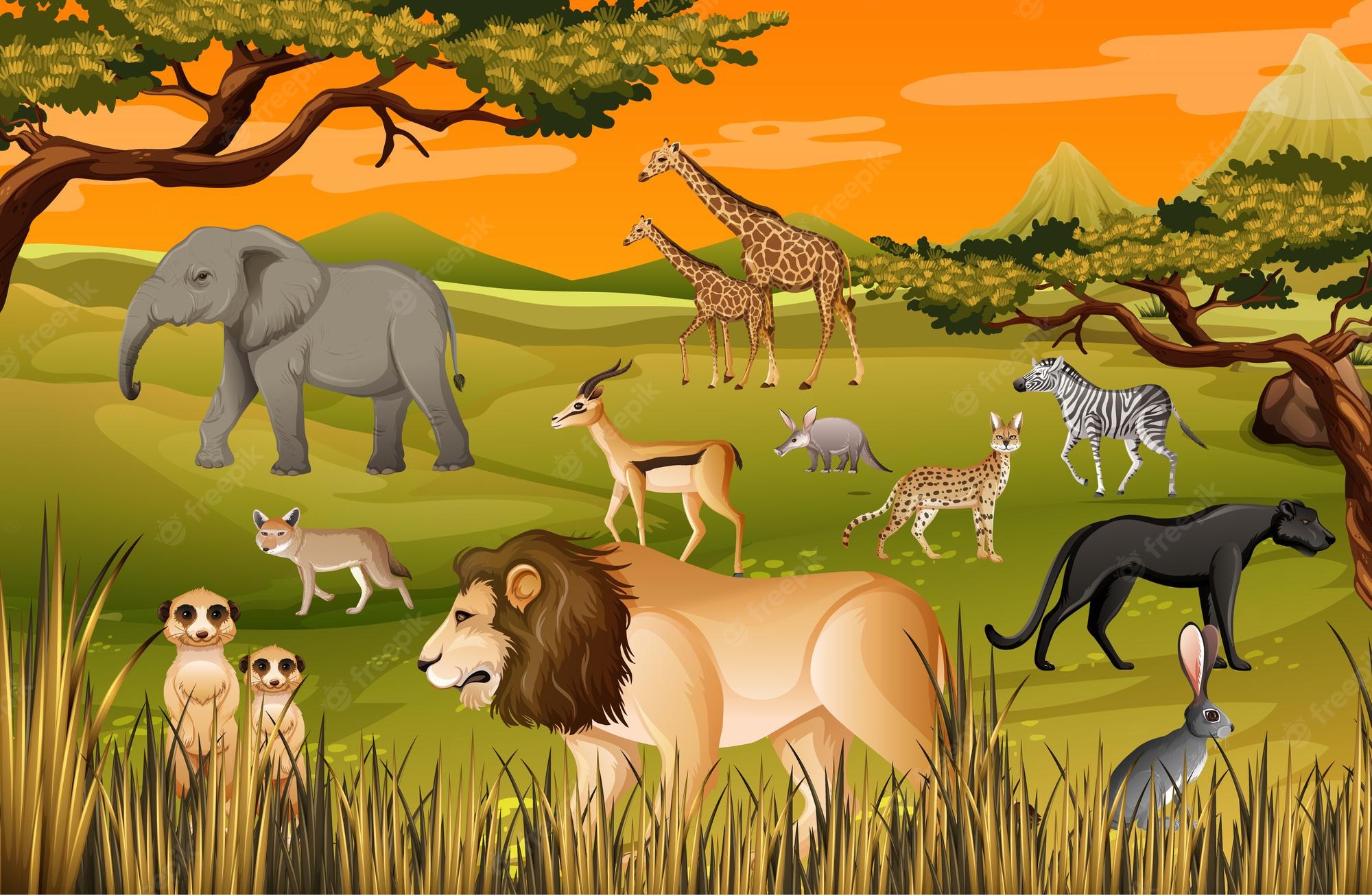 High Resolution Jungle Safari Background