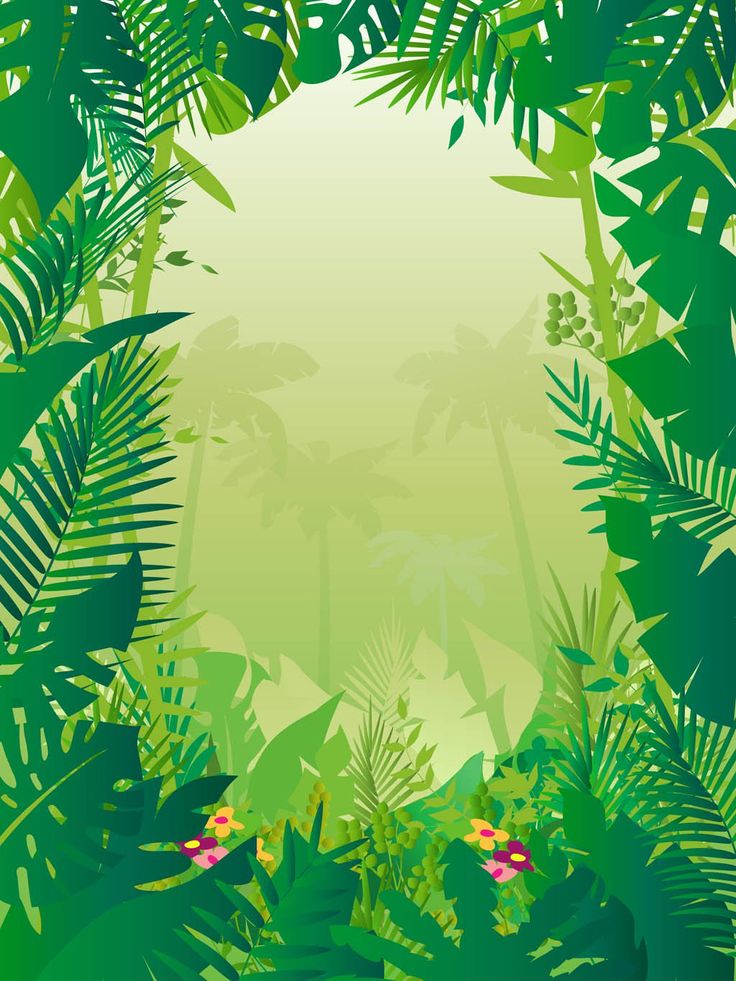 High Resolution Jungle Safari Background