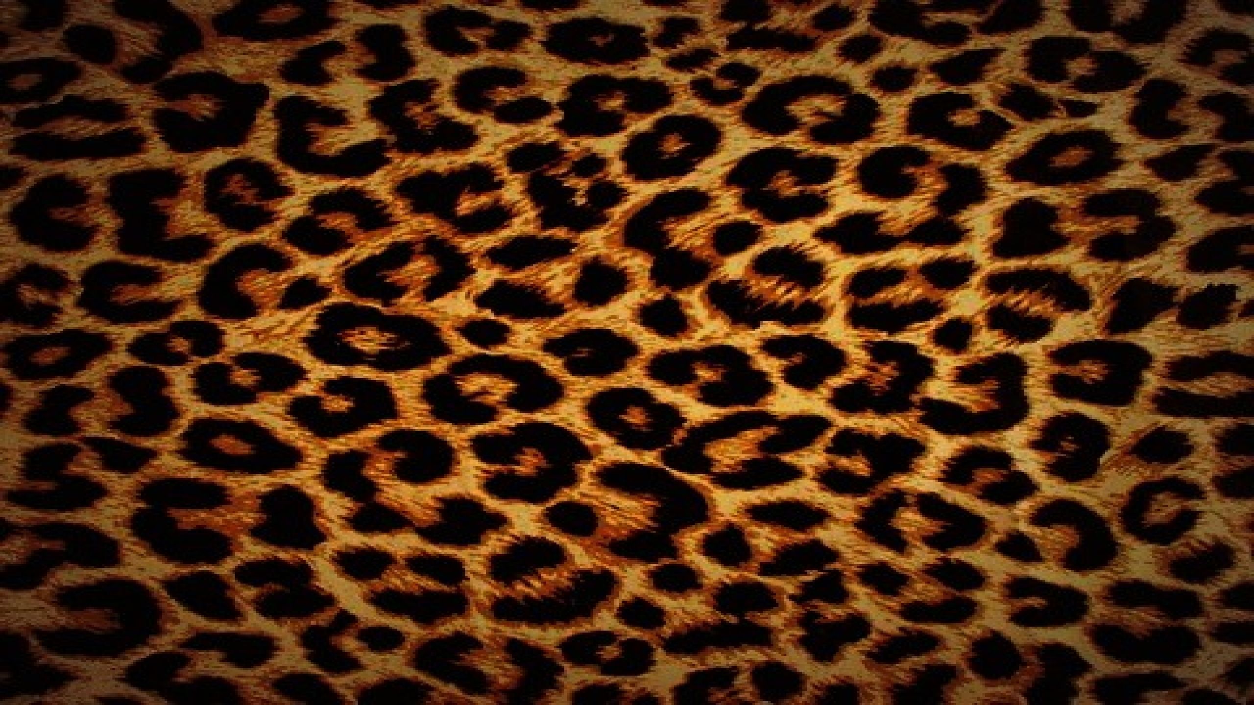 High Resolution Leopard Print Background