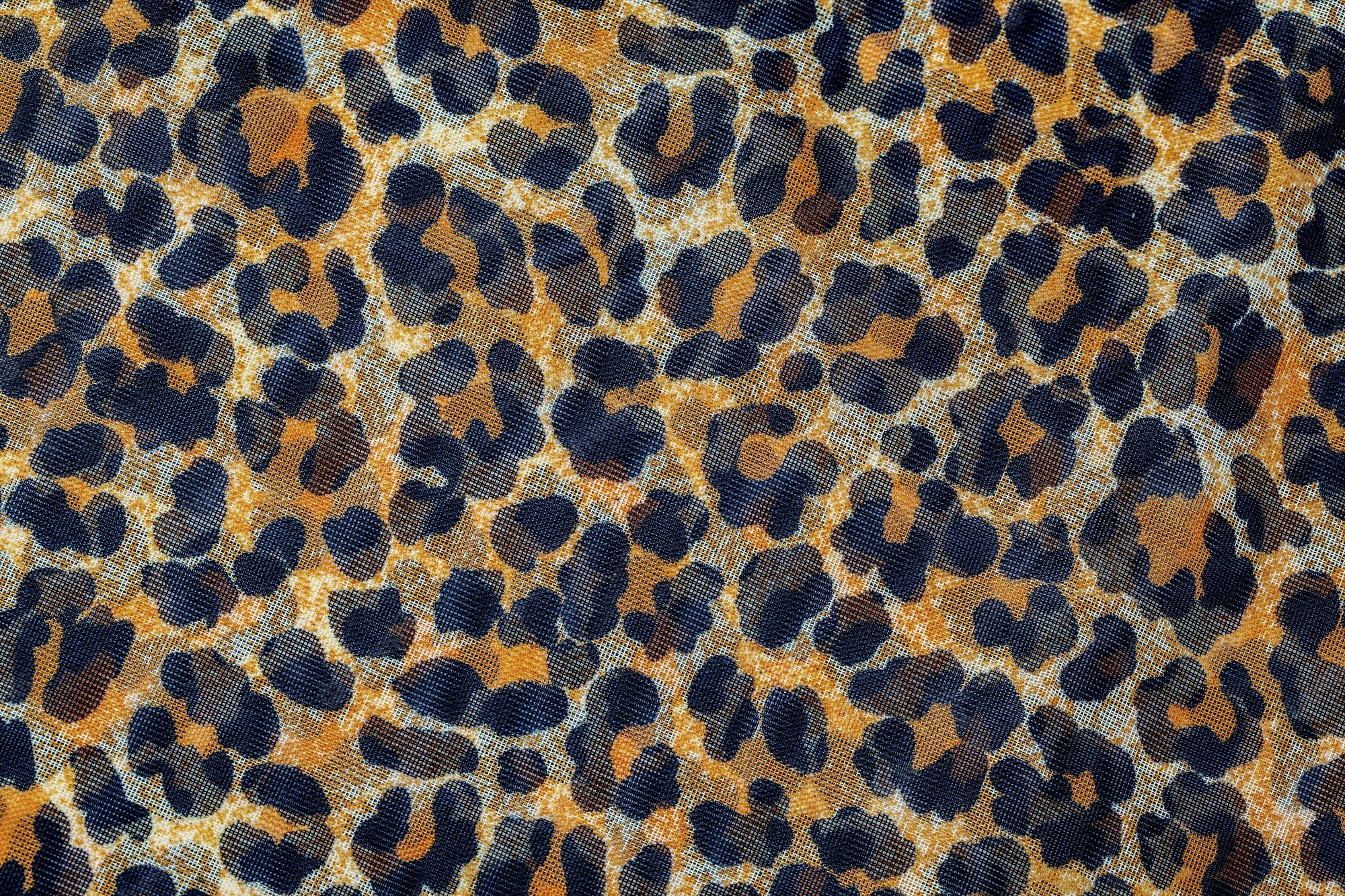 High Resolution Leopard Print Background