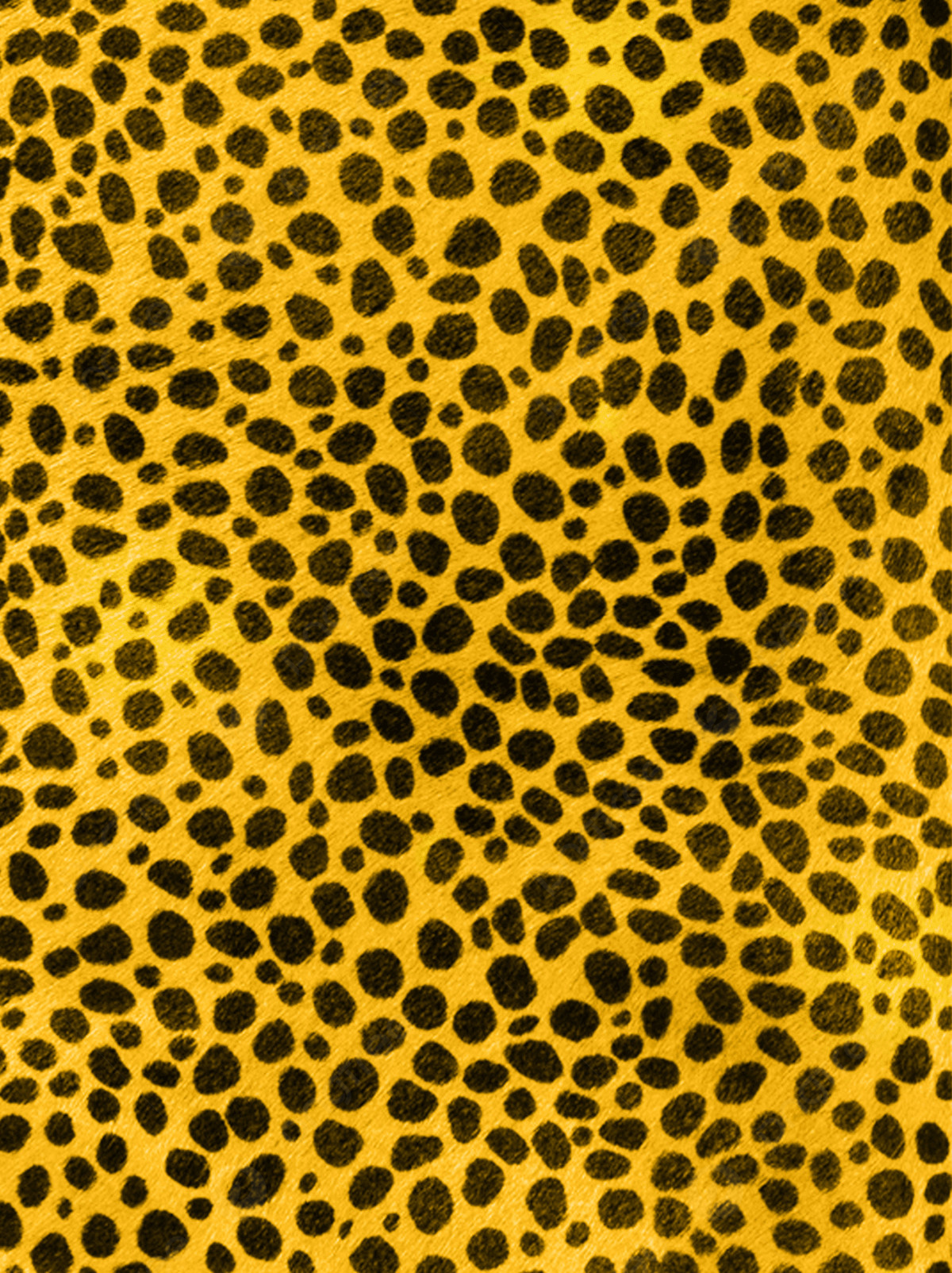 High Resolution Leopard Print Background