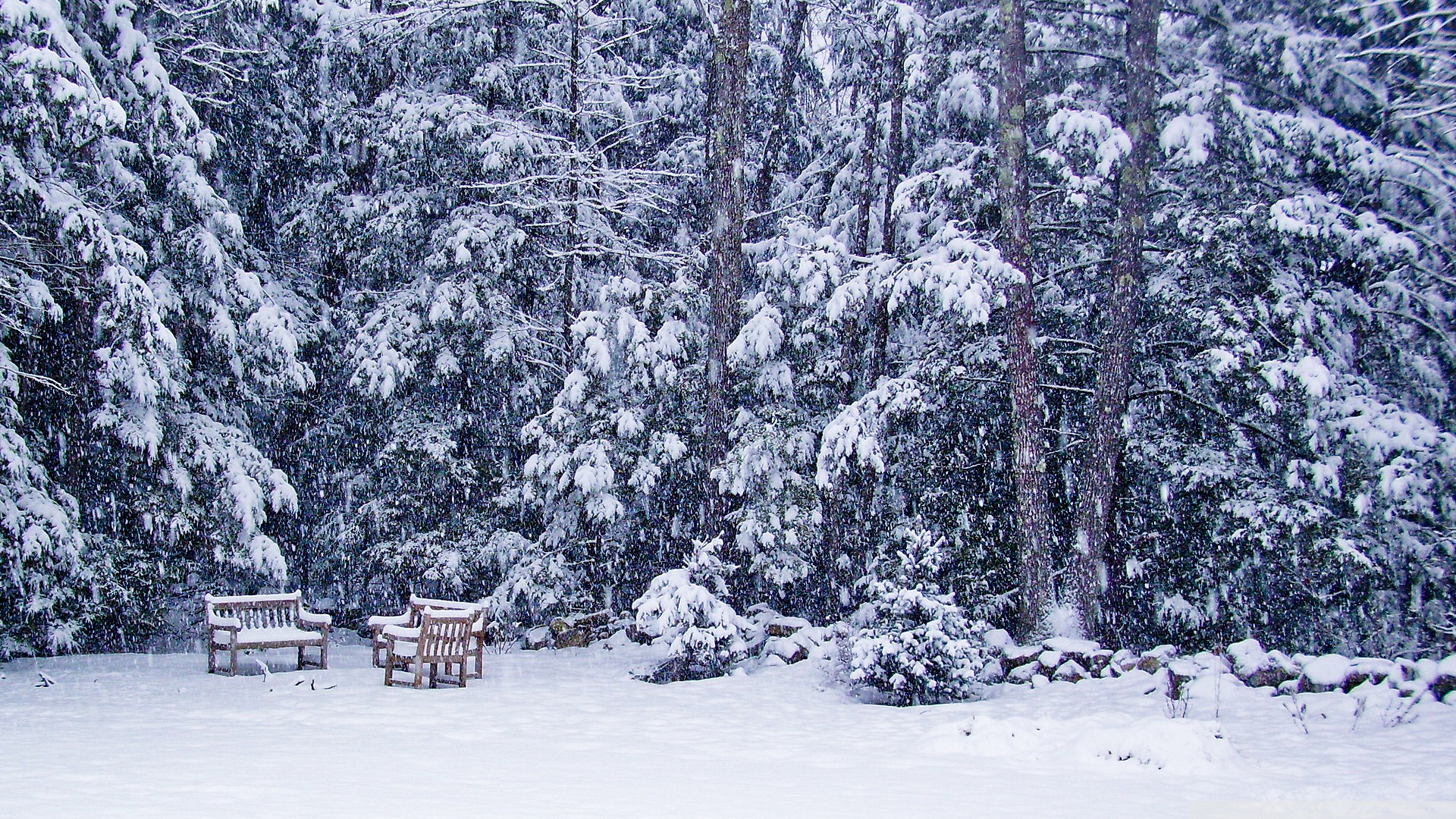 High Resolution Snow Background