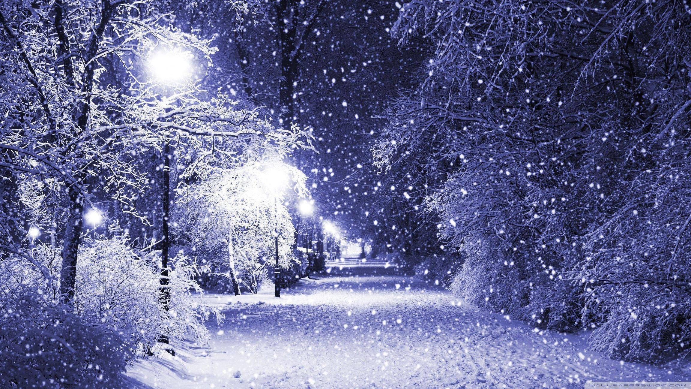 High Resolution Winter Wonderland Background