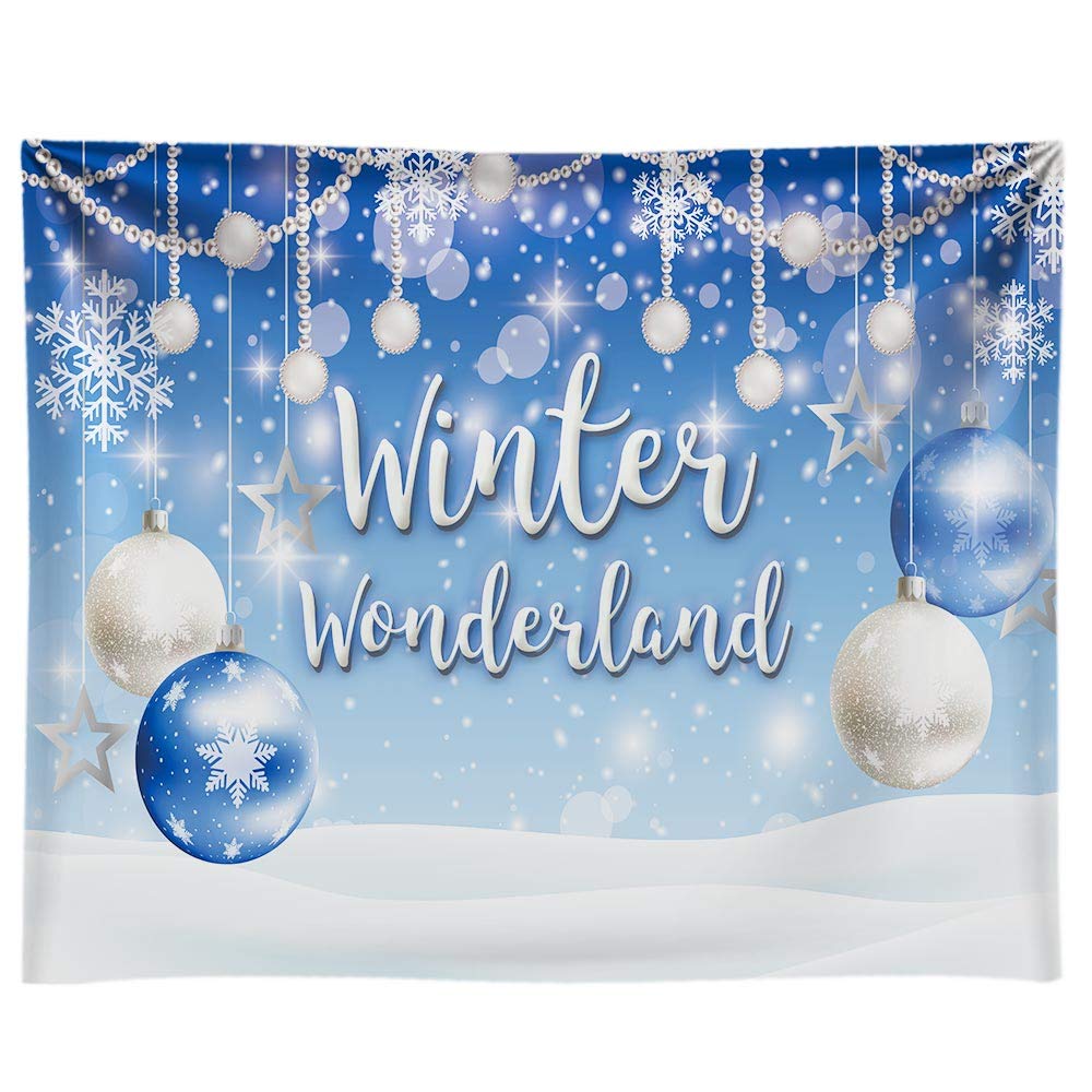 High Resolution Winter Wonderland Background