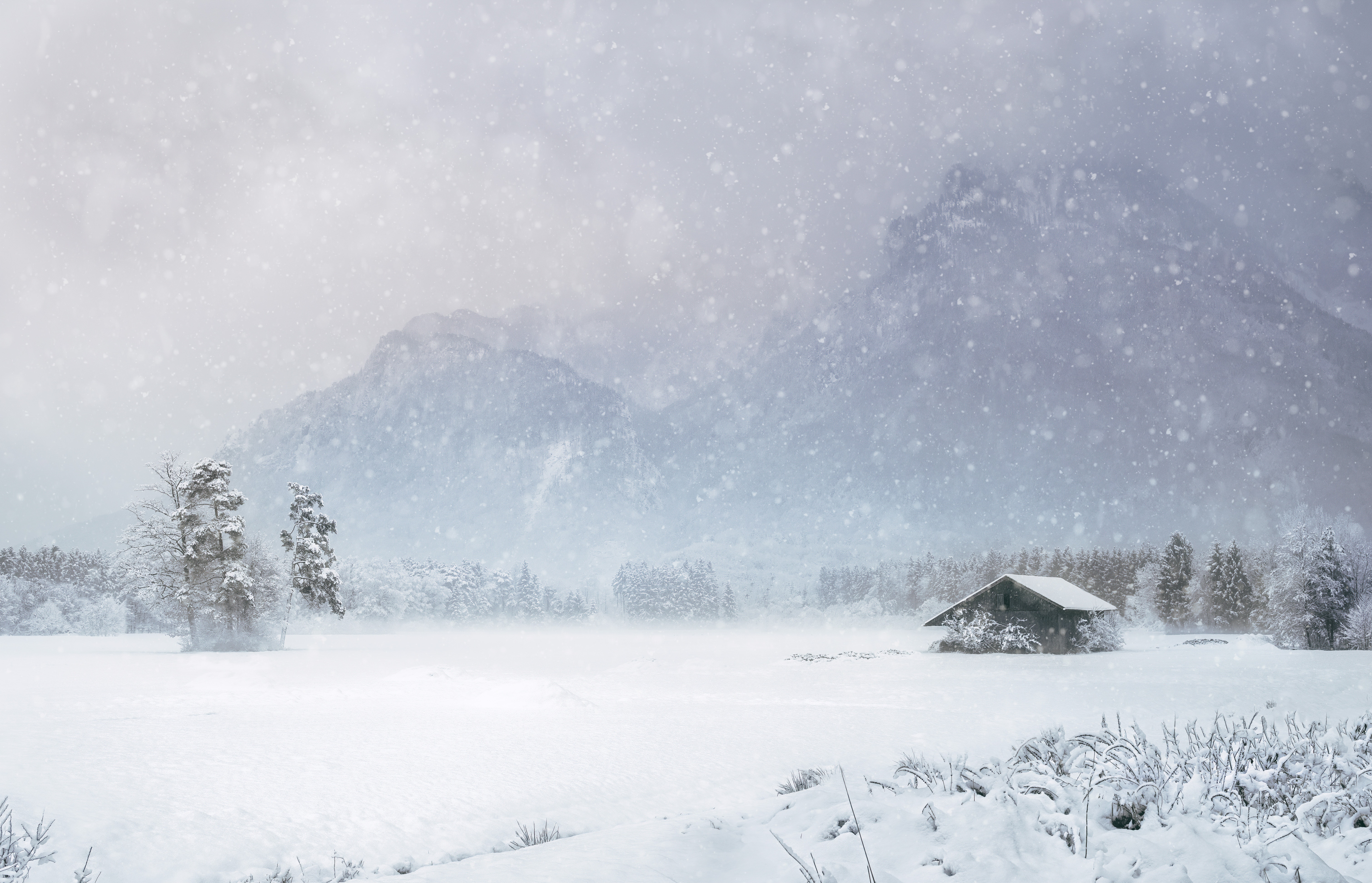 High Resolution Winter Wonderland Background