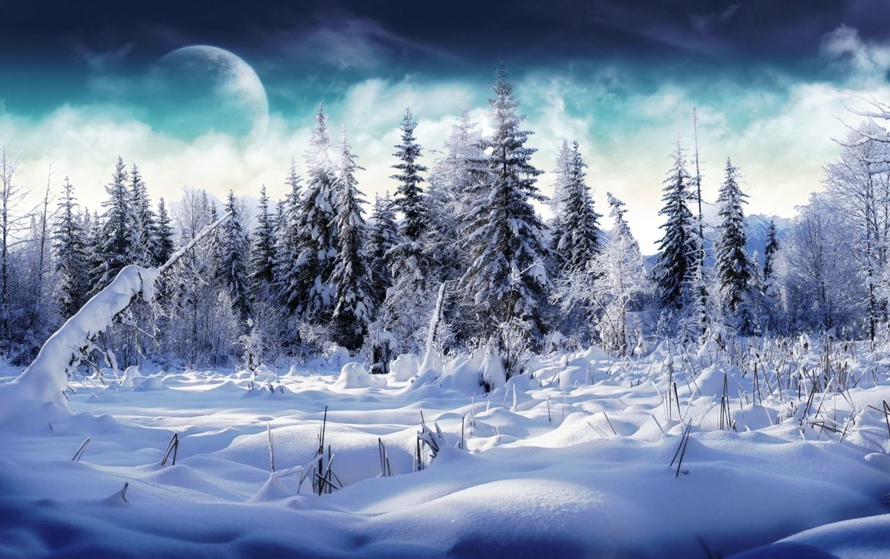 High Resolution Winter Wonderland Background