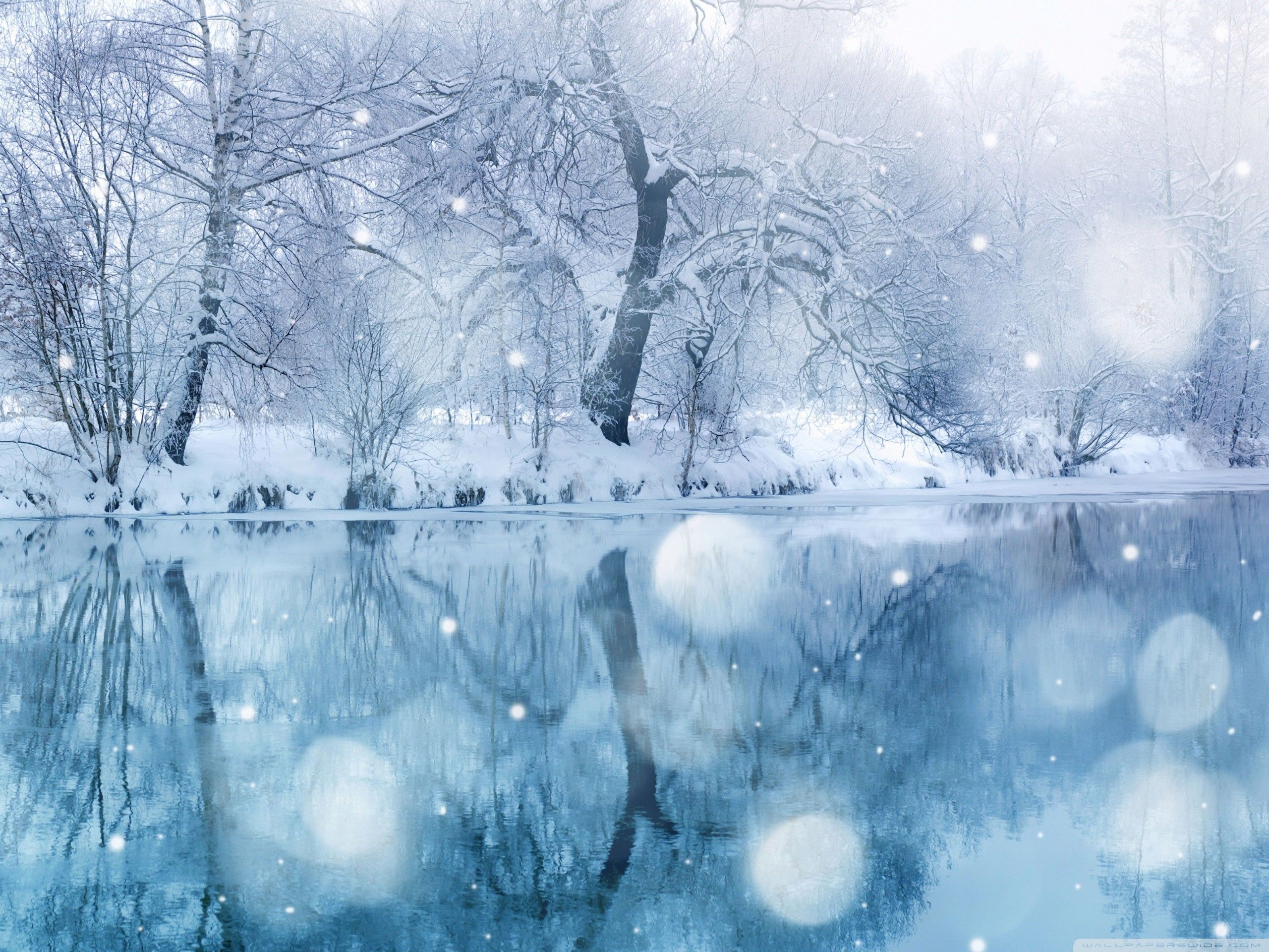 High Resolution Winter Wonderland Background