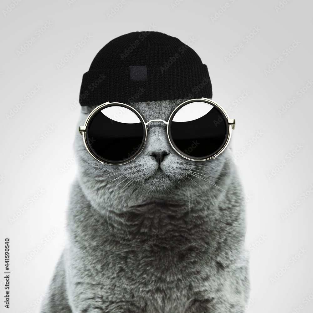 Hipster Cat Background