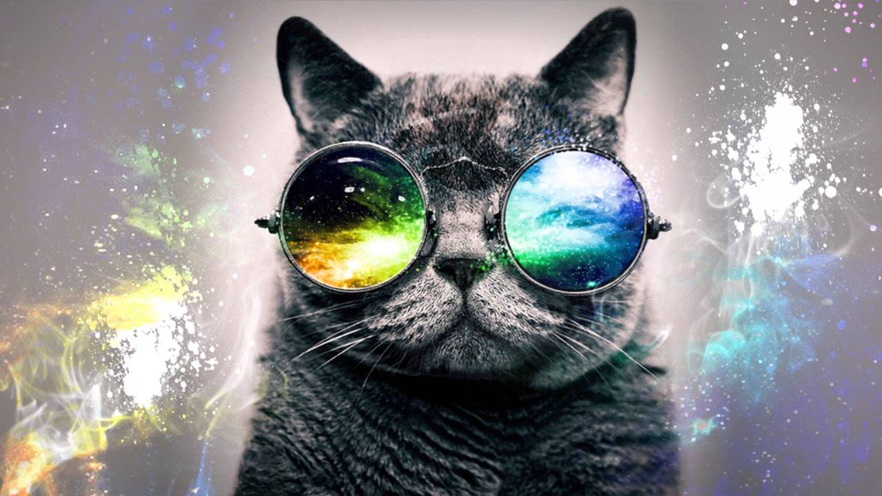 Hipster Cat Background