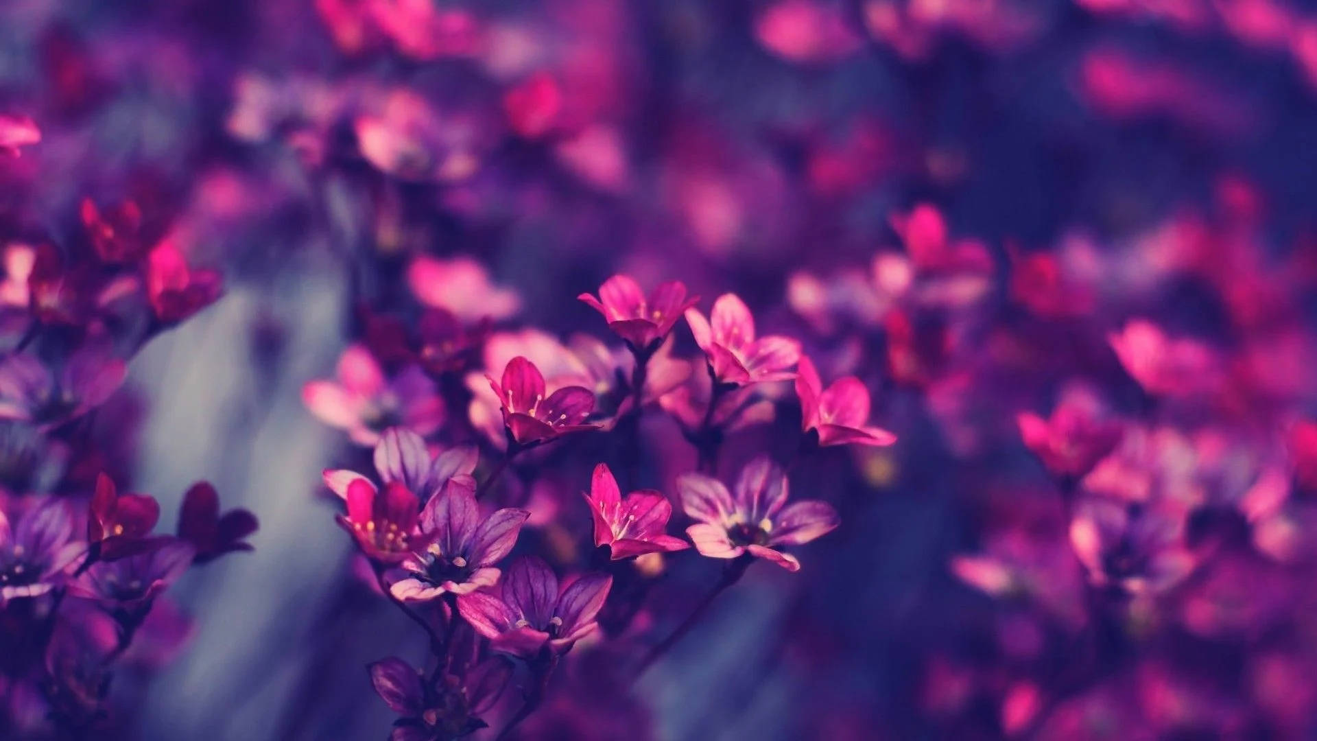 Hipster Floral Background