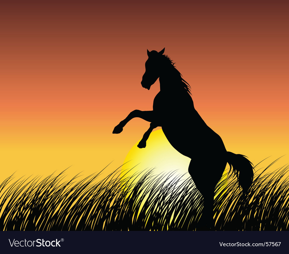 Horses Backgrounds