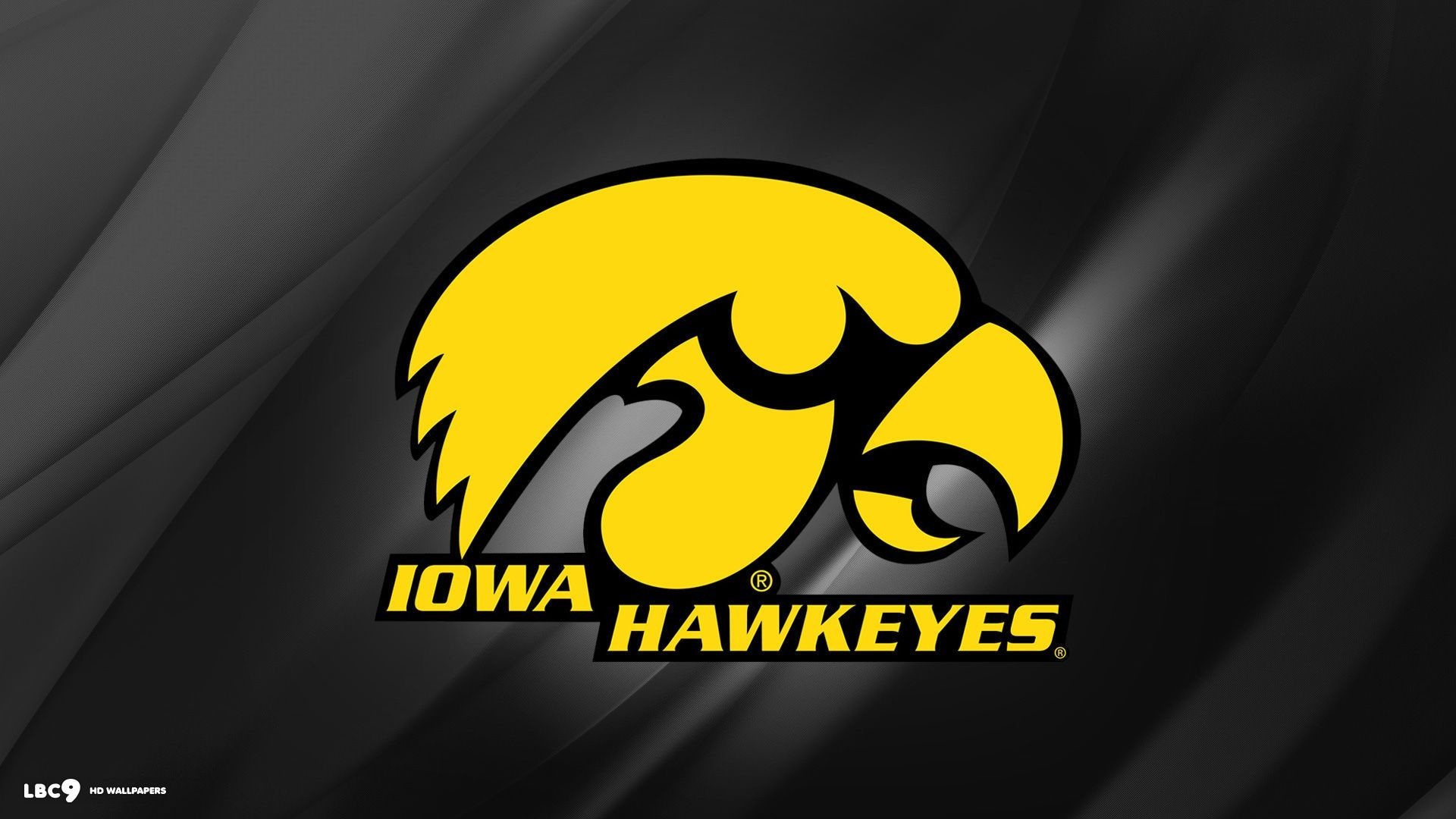 Iowa Hawkeye Background