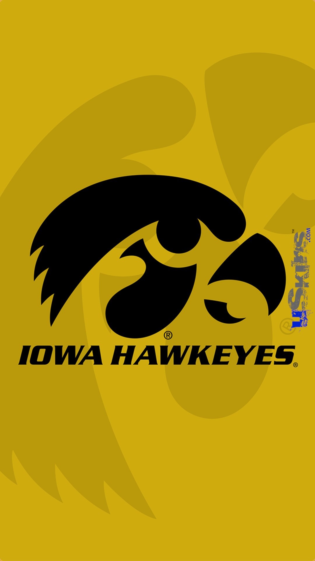 Iowa Hawkeye Background