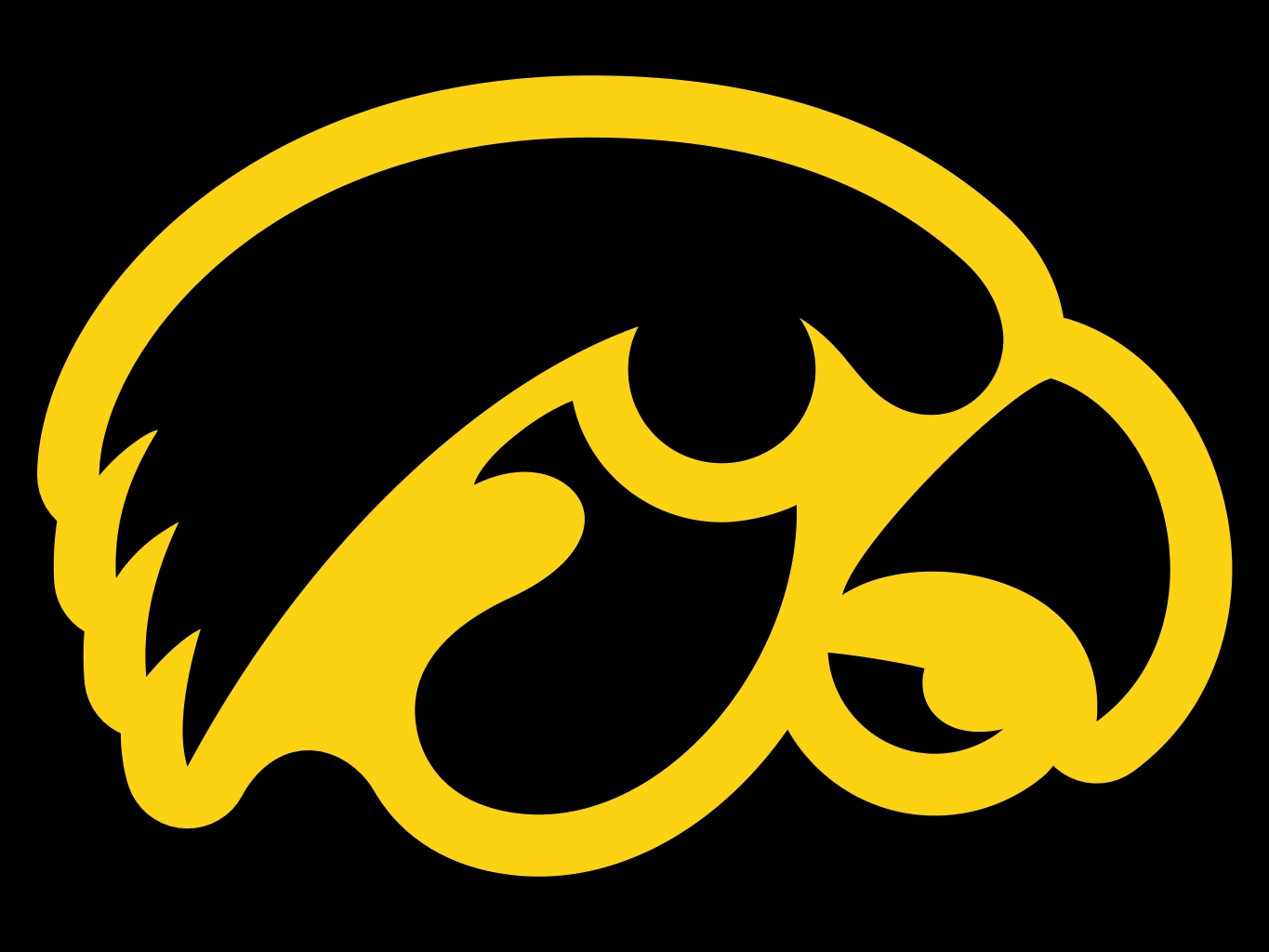 Iowa Hawkeye Background