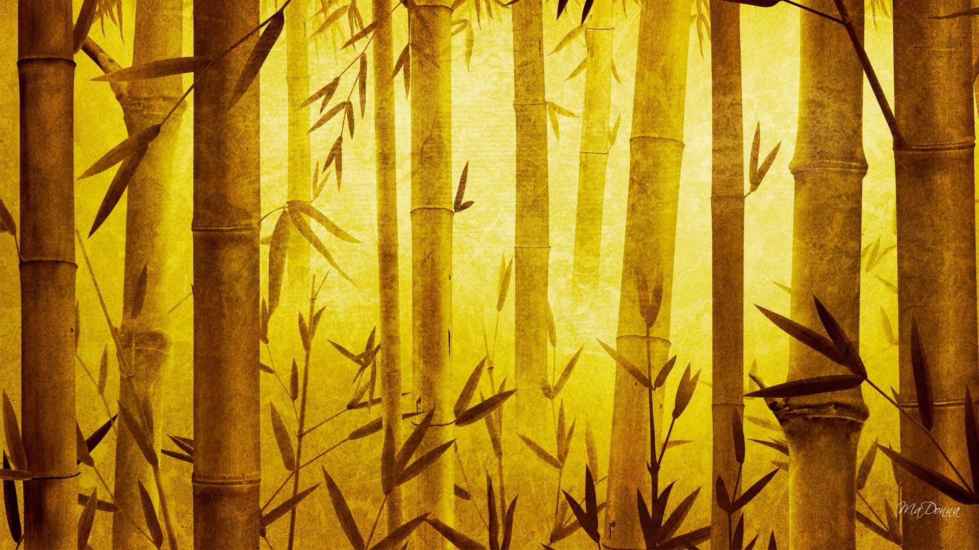 Japanese Background Bamboo