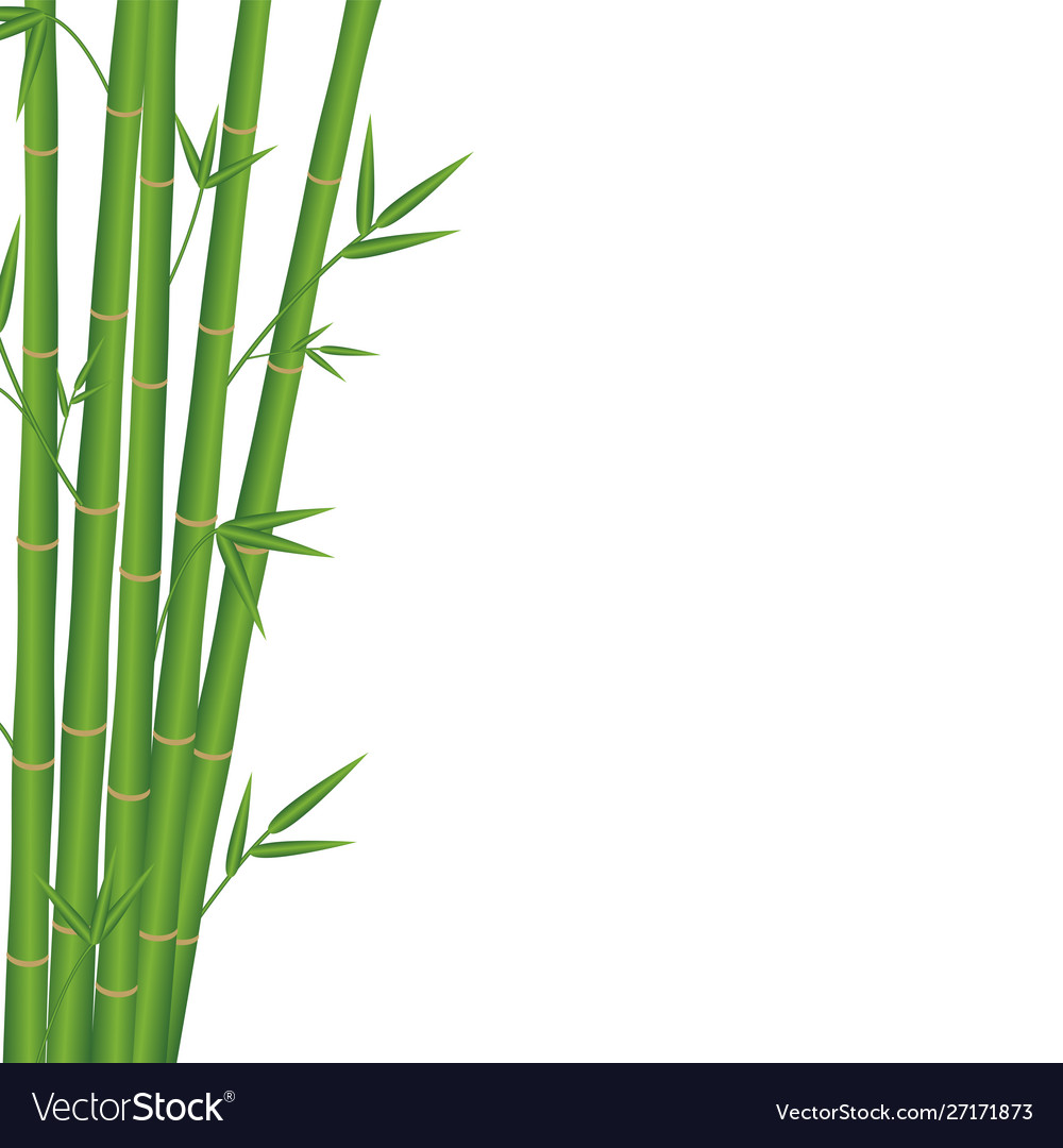 Japanese Background Bamboo
