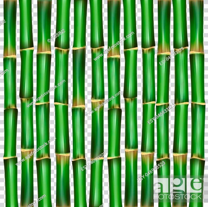 Japanese Background Bamboo