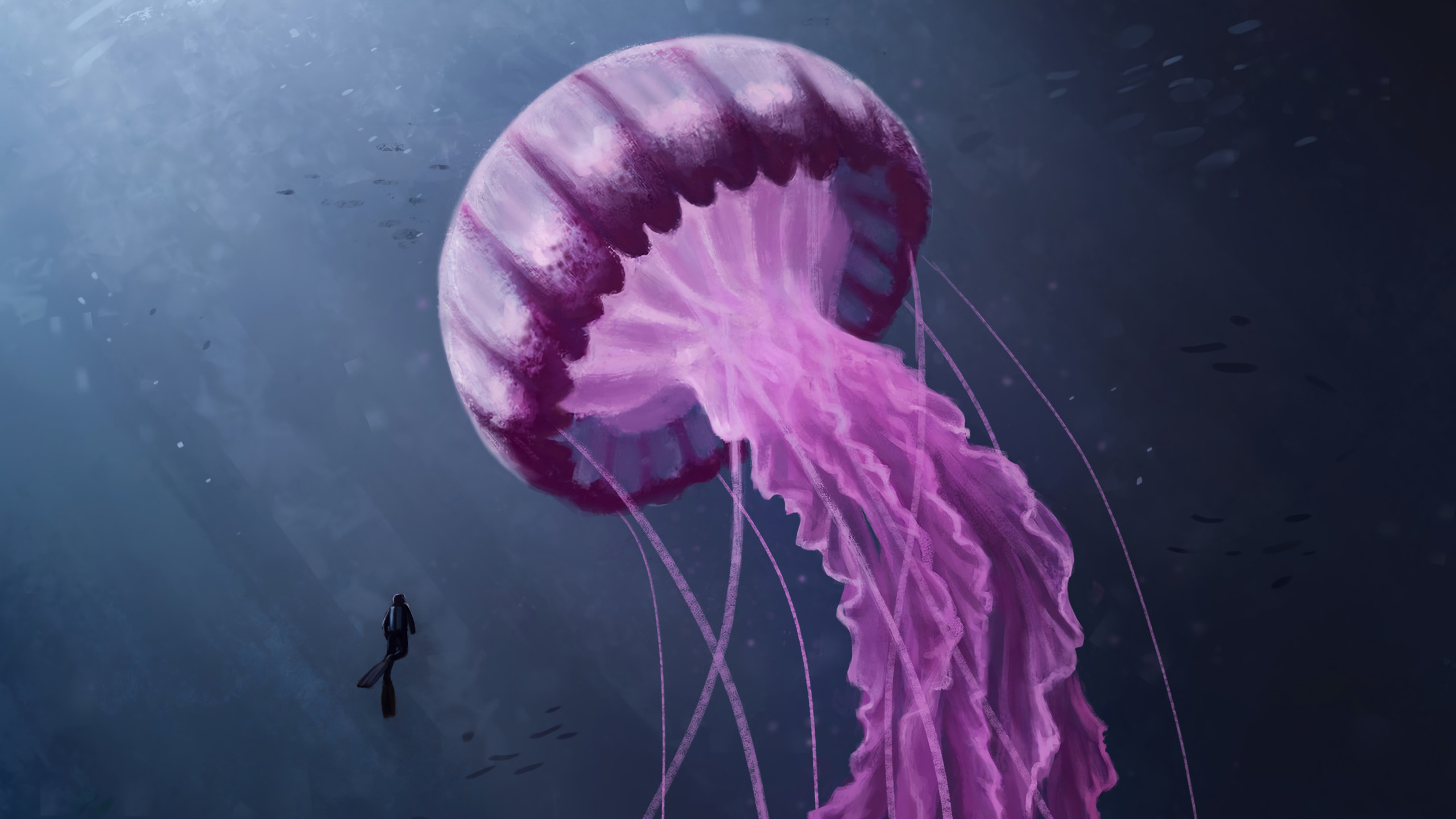 Jellyfish Backgrounds