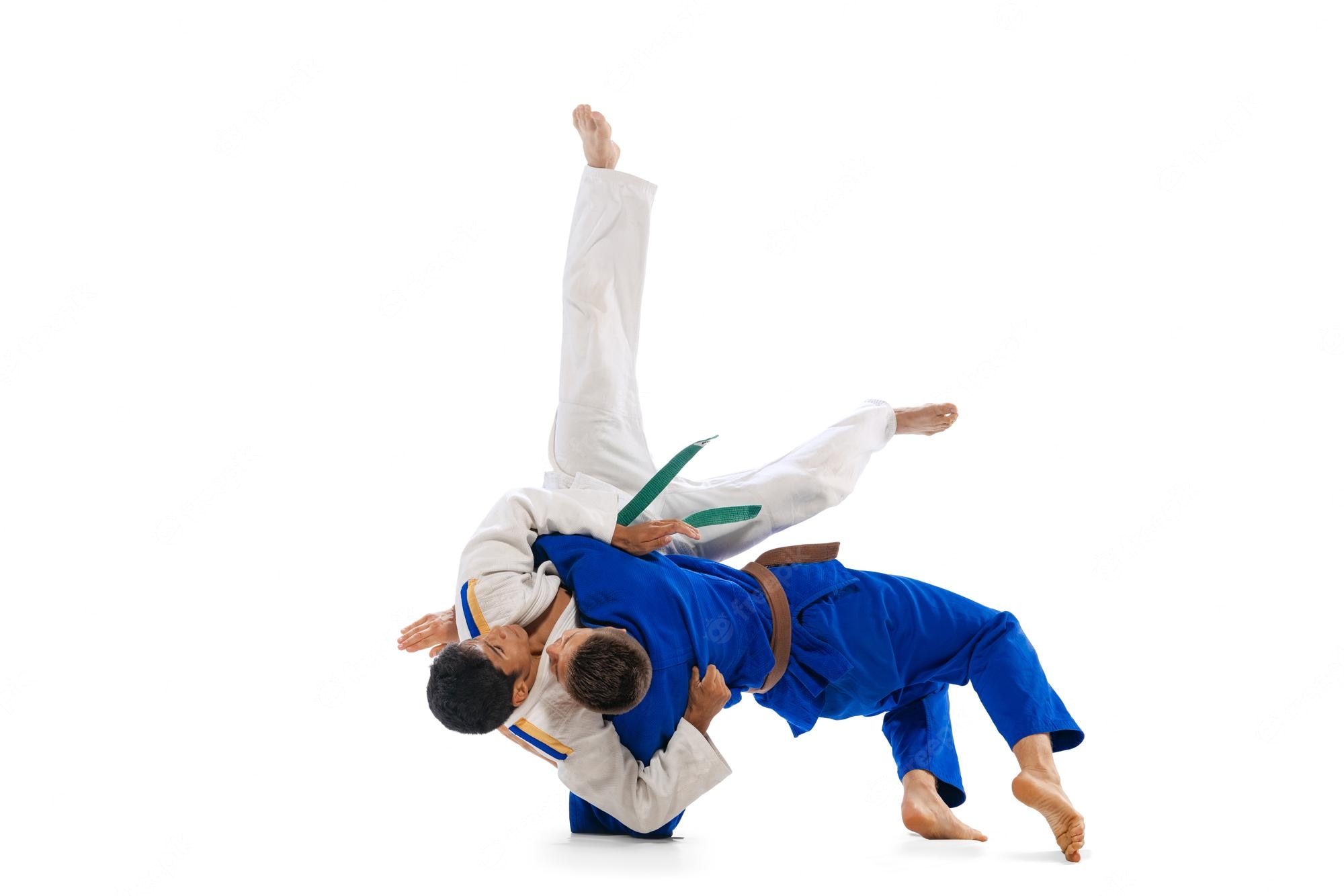 Judo Background