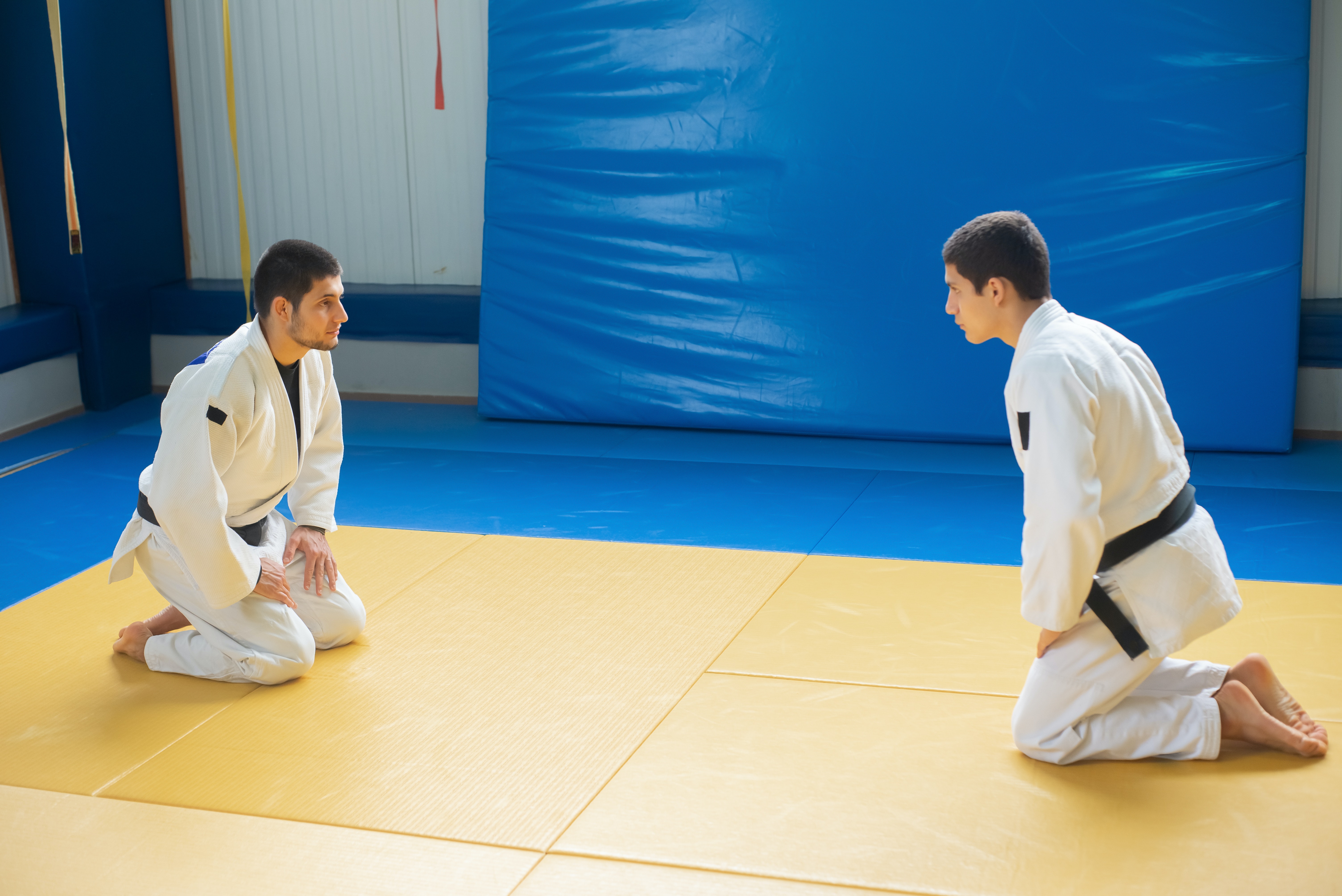 Judo Background