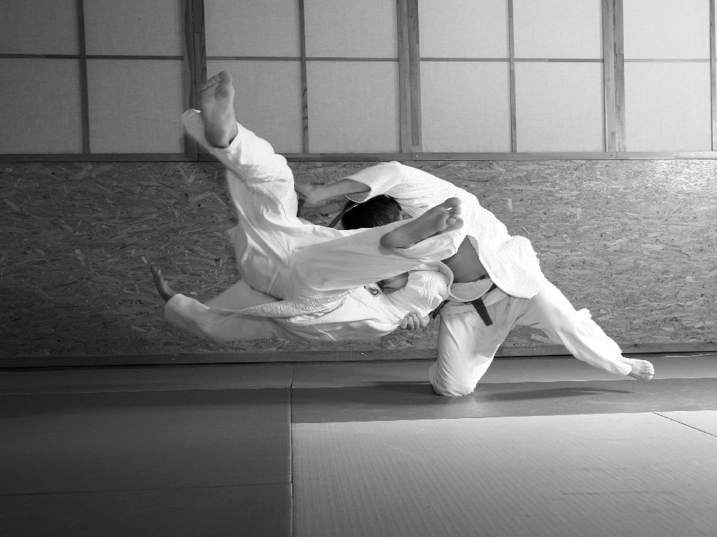 Judo Background