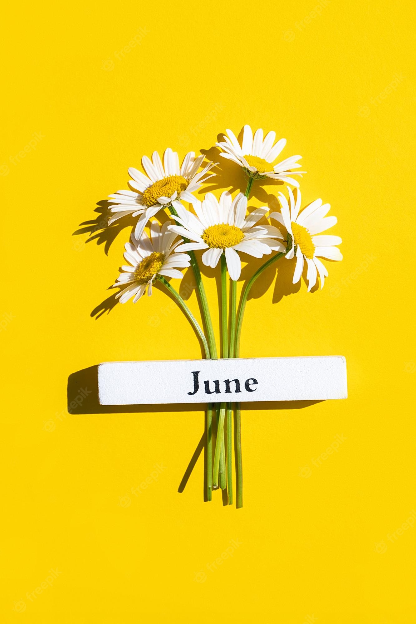 June Background