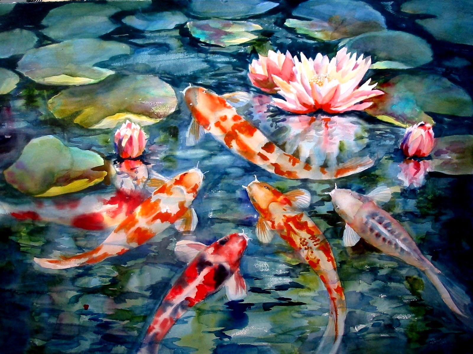 Koi Fish Desktop Background