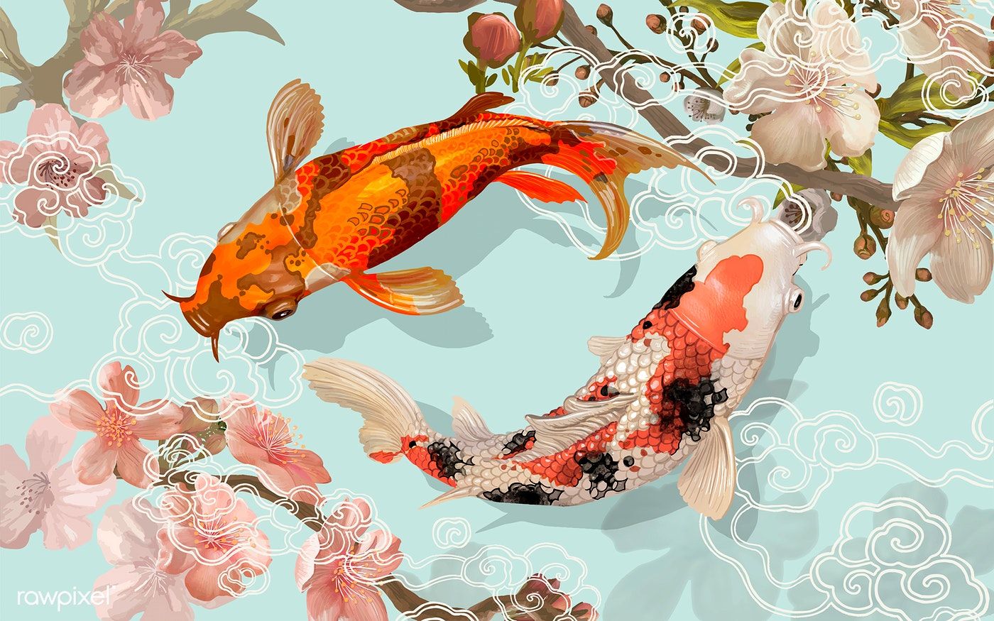 Koi Fish Desktop Background