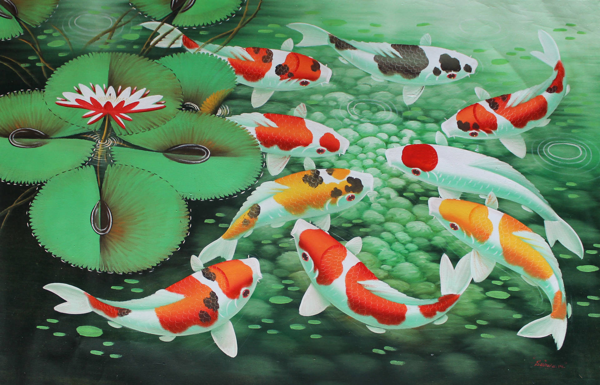 Koi Fish Desktop Background