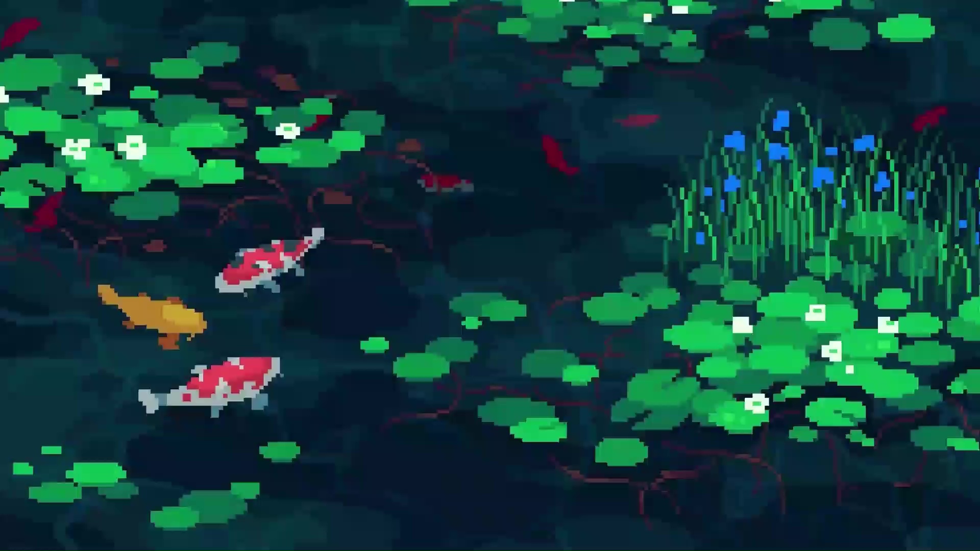 Koi Pond Background